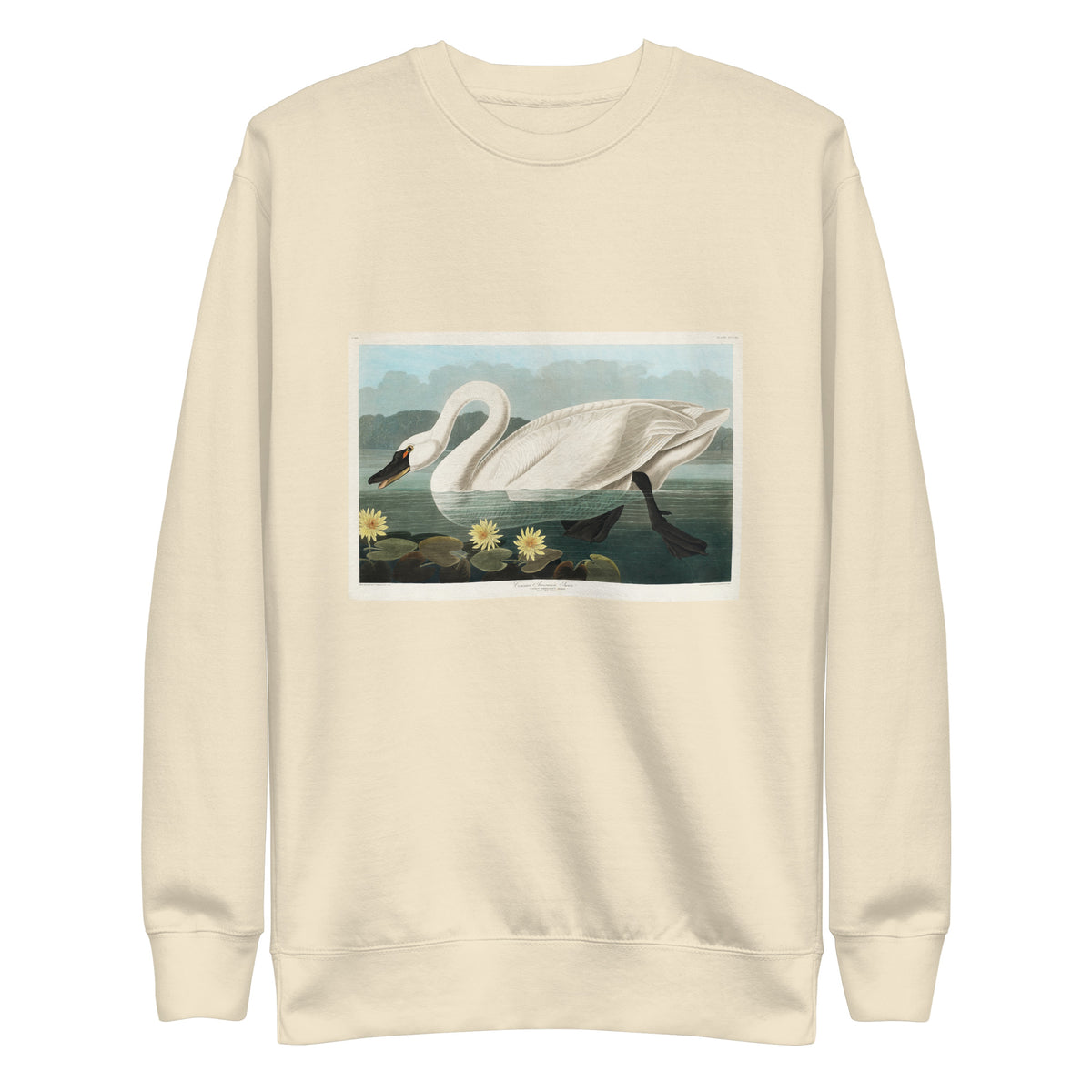 Sweater Common American Swan - John James Audubon 1827 Signature