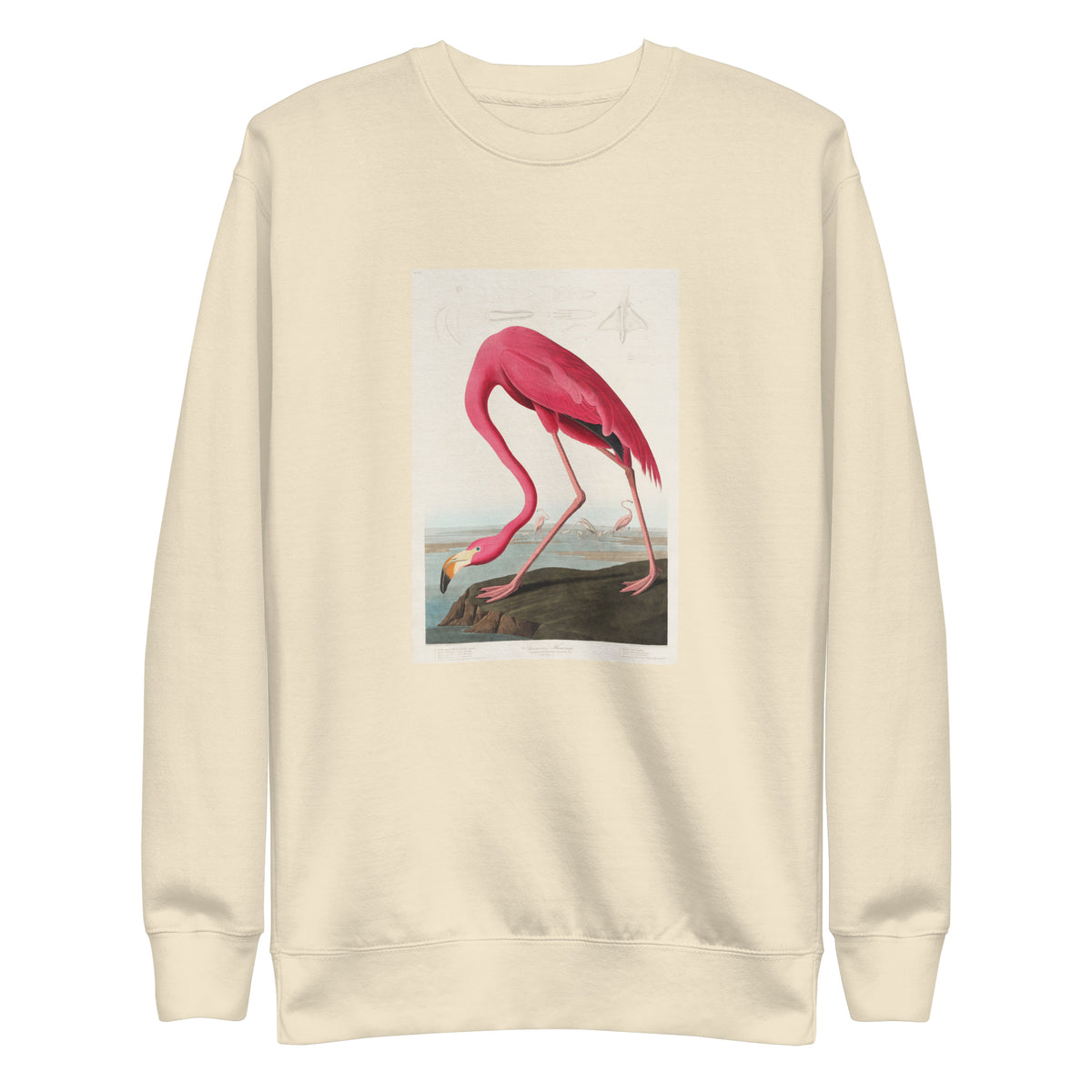Sweater Pink Flamingo - John James Audubon 1827 Signature