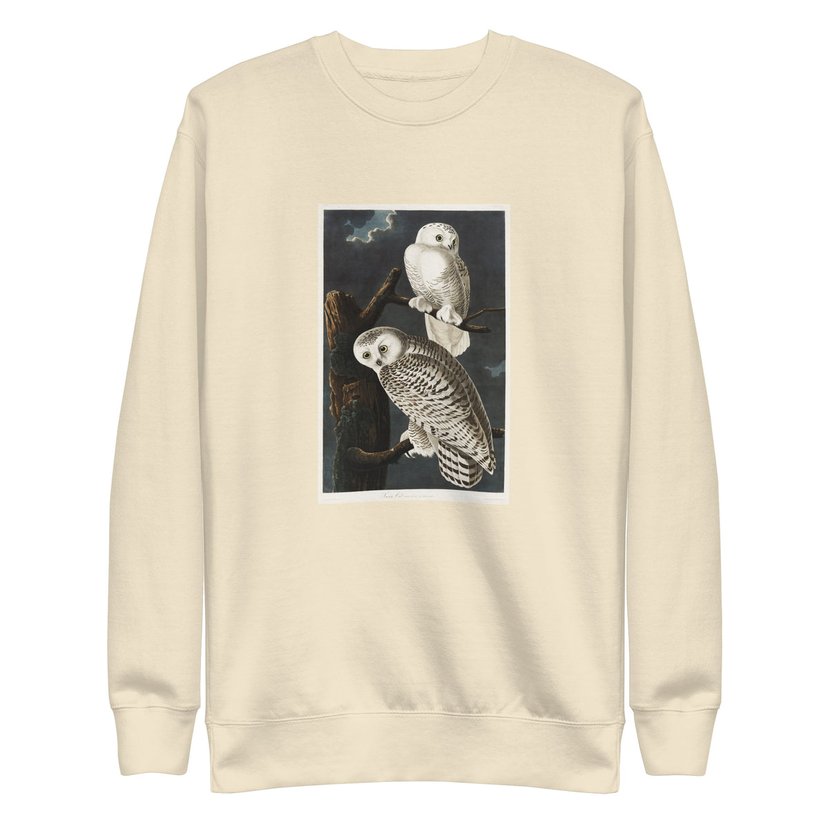 Sweater Snowy Owl Signature