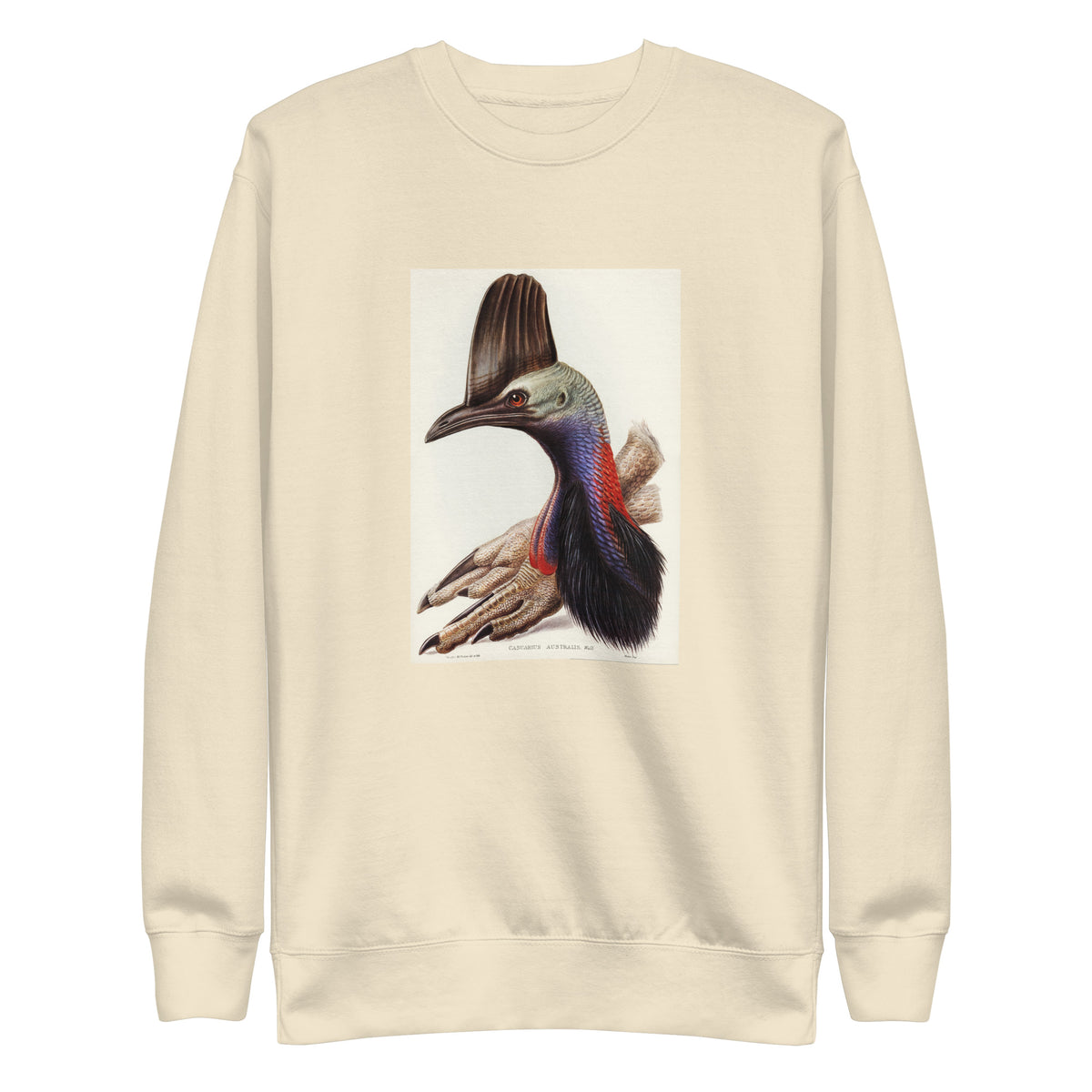 Sweater Australian Cassowary Casuarius Australis Illustrated - Elizabeth Gould 1804 Signature