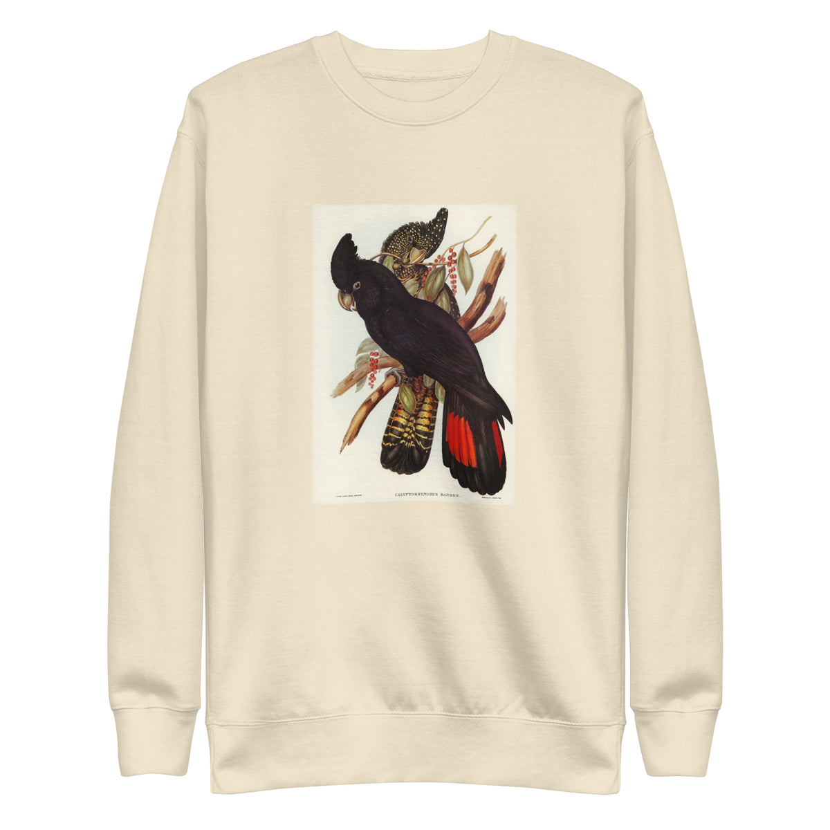 Sweater Banksian Cockatoo Calyptorhynchus Banksii Illustrated - Elizabeth Gould 1804 Signature