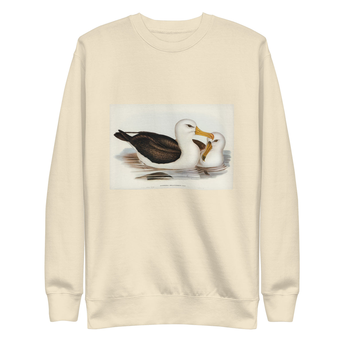Sweater Black-Eyebrowed Albatros Diomedea Melanophrys Illustrated - Elizabeth Gould 1804 Signature