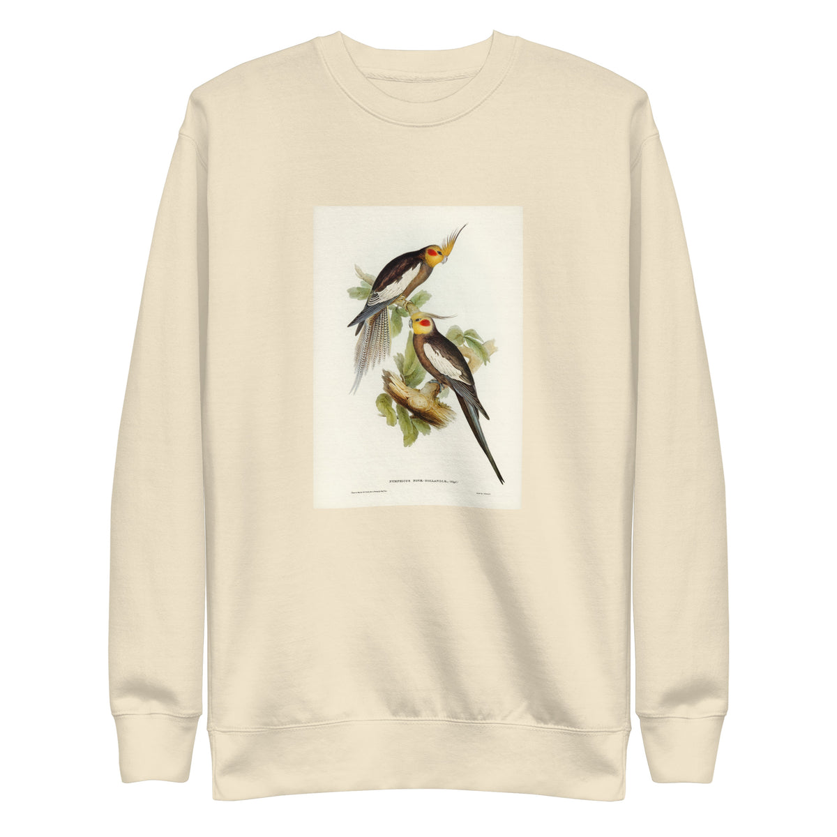 Sweater Cockatoo Parakeet Nymphicus Novae Hollandiae Illustrated - Elizabeth Gould 1804 Signature
