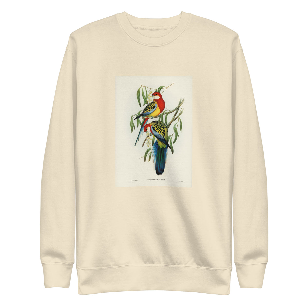 Sweater Rose-Hill Parakeet Platycercus Eximius Illustrated - Elizabeth Gould 1804 Signature