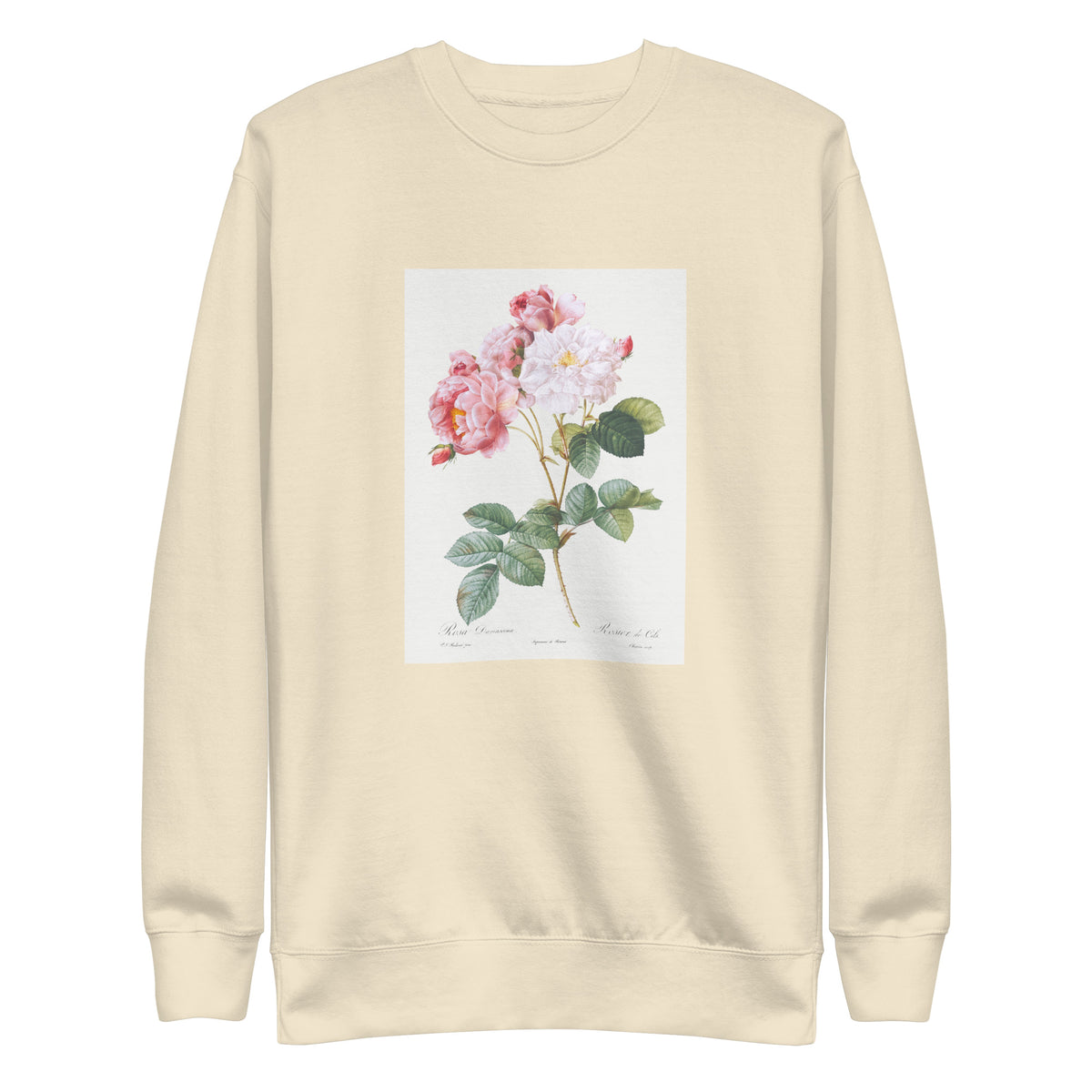 Sweater Rosa Damascena Rosebush Rosa Damascena Signature