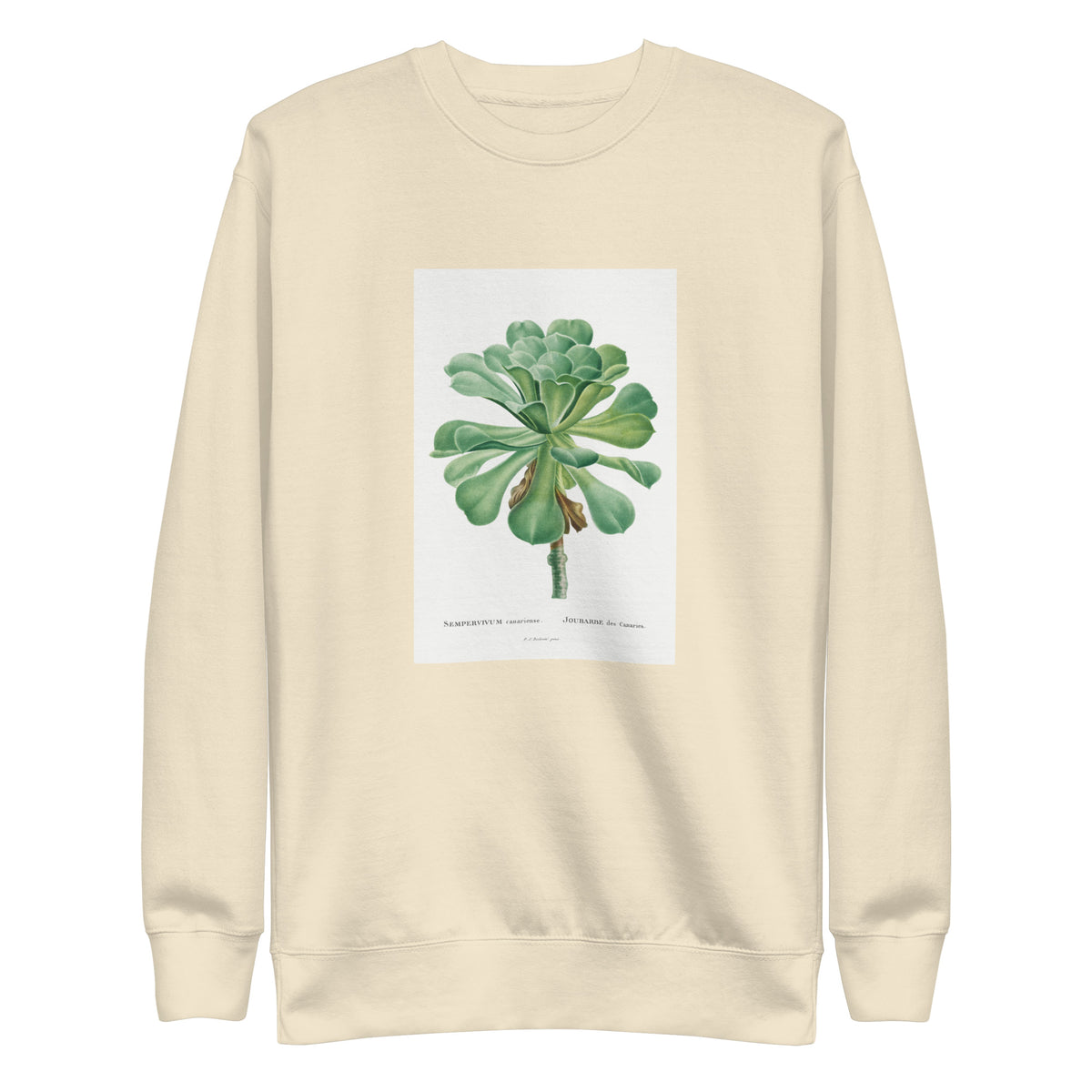 Sweater Sempervivum Canariense Image Signature