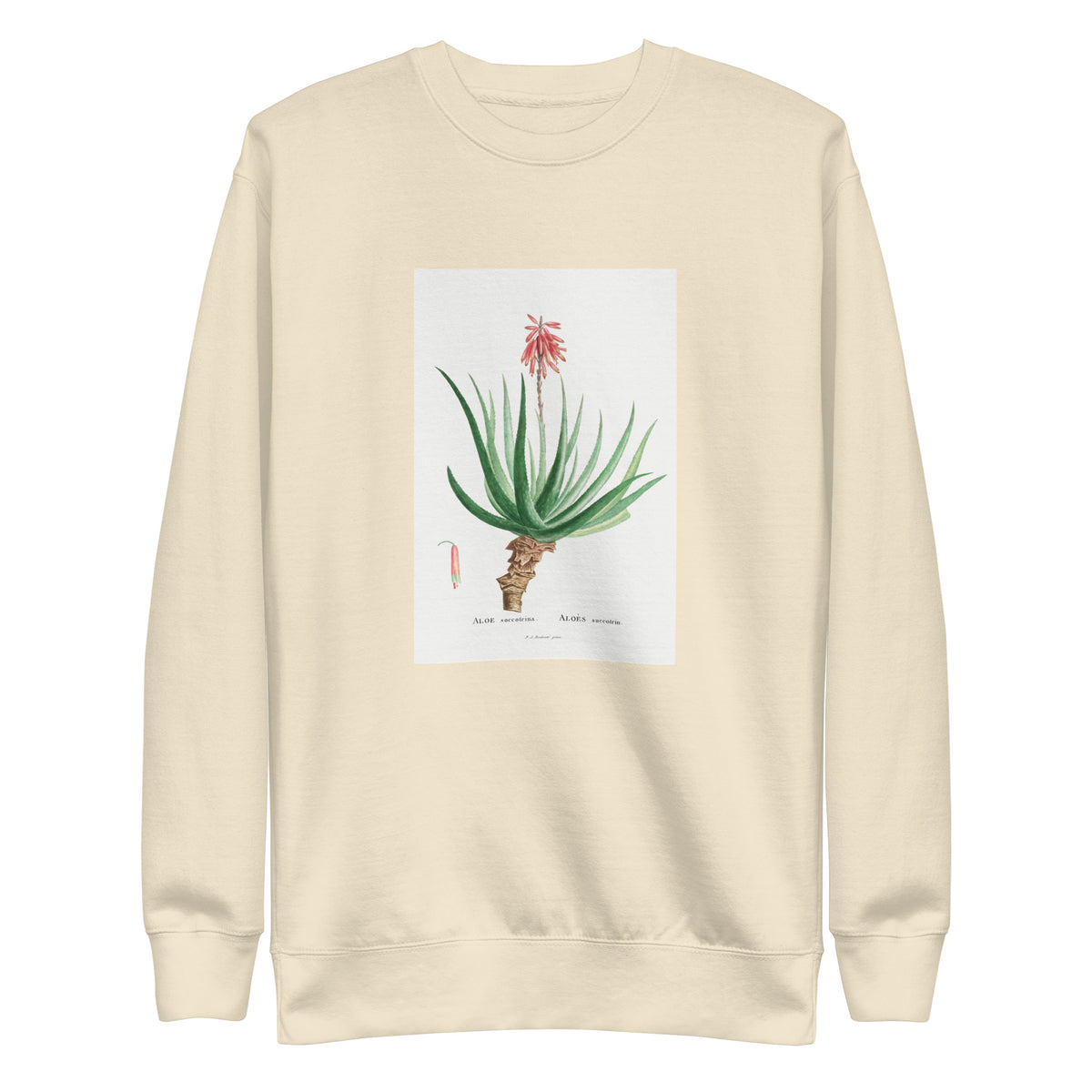 Sweater Aloe Socotrina Image Signature