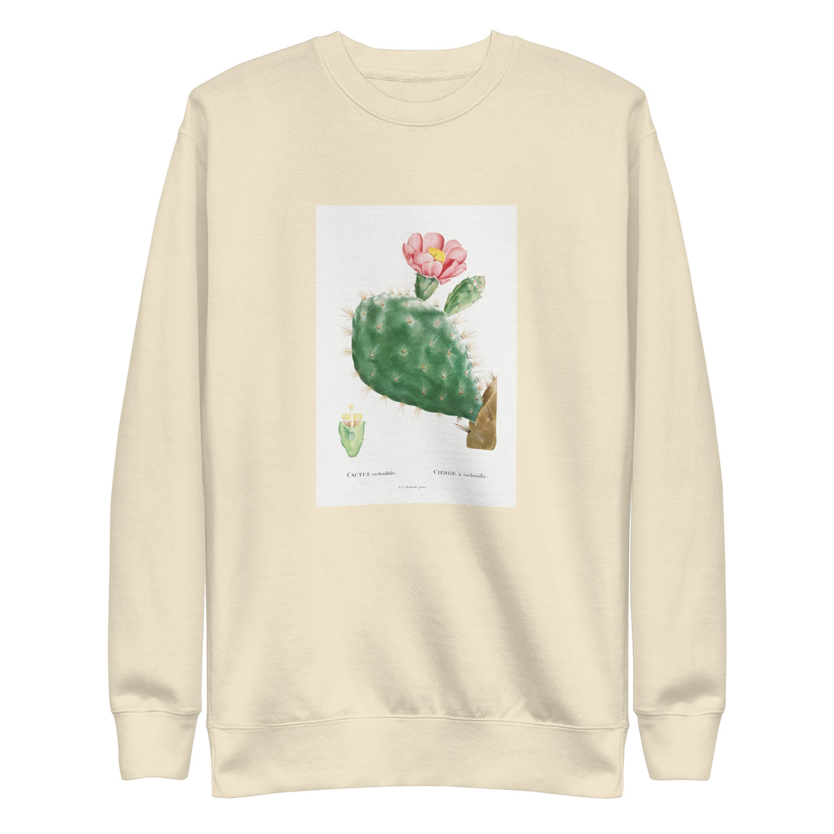 Sweater Cactus Cochenillifer Image Signature