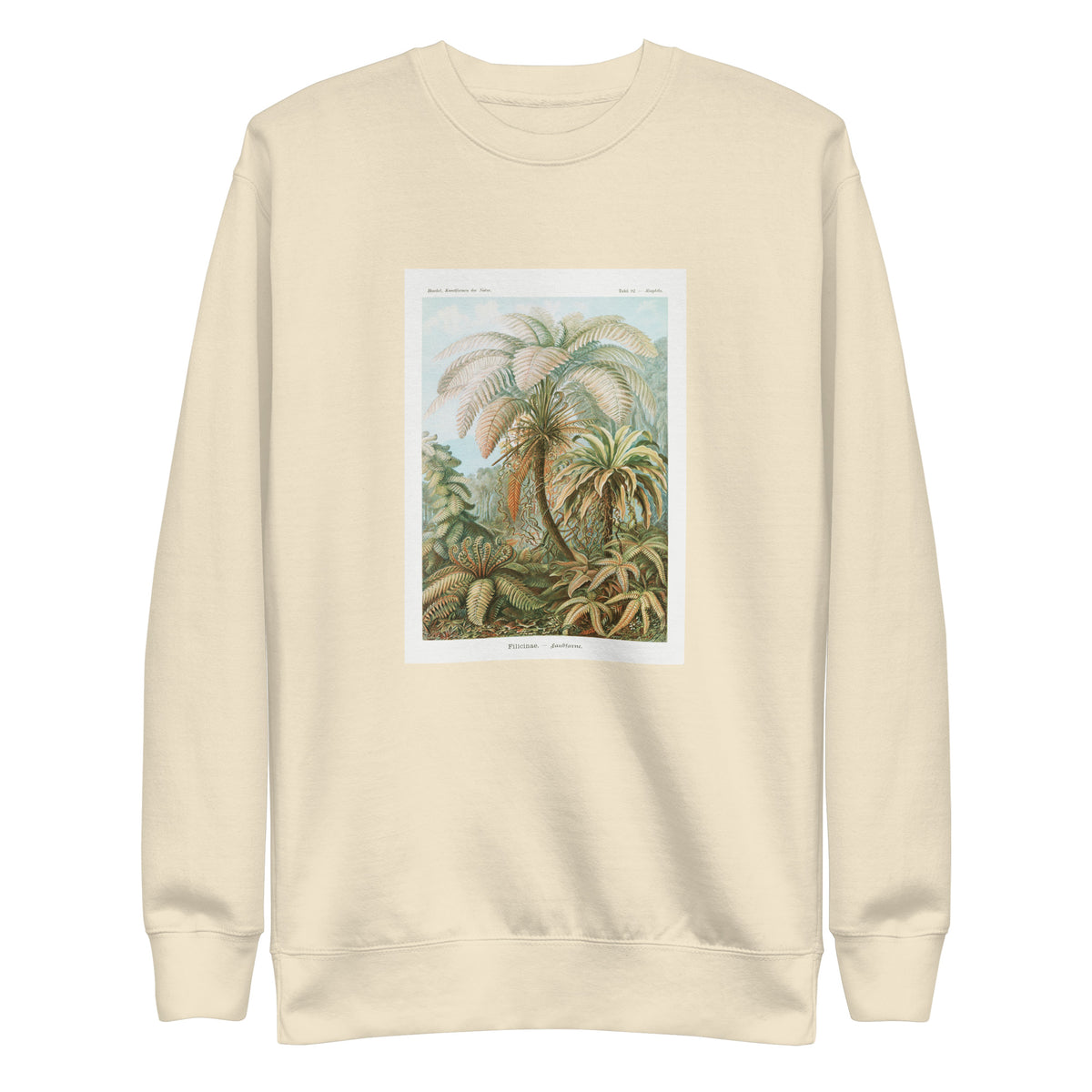Sweater Filicinae Laubfarne Signature