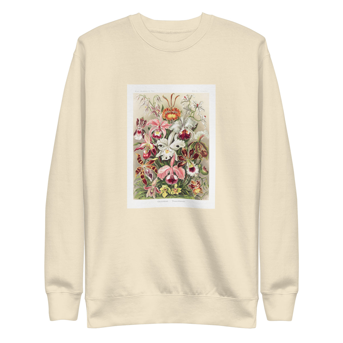 Sweater Orchideae Denusblumen A Giltsch Gem Signature