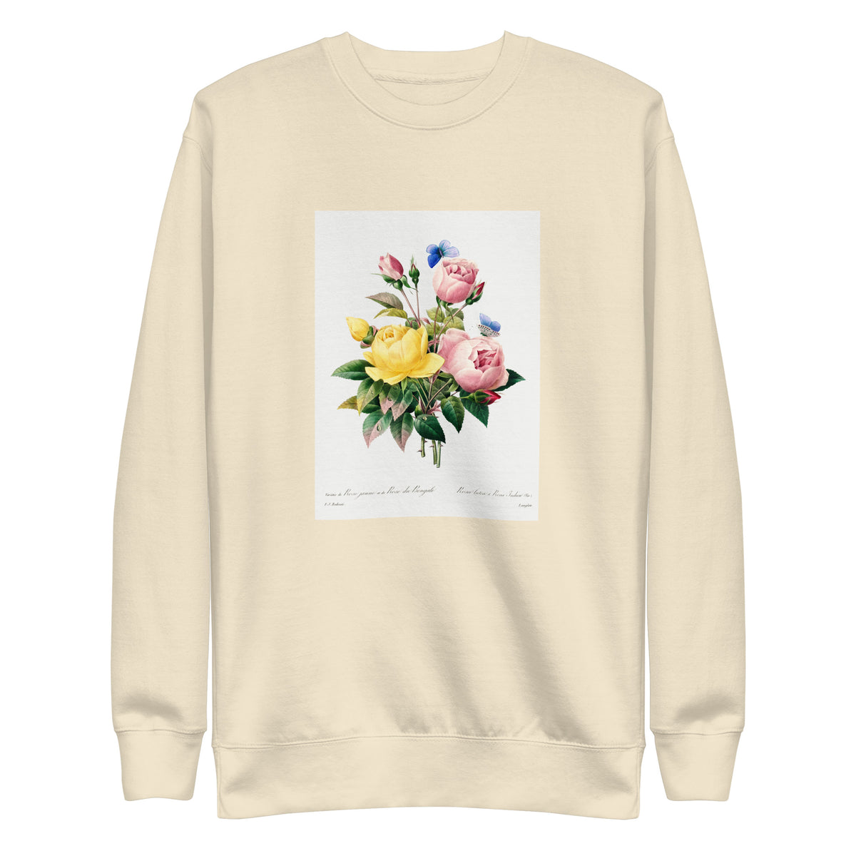 Sweater Yellow Rose And Cabbage Rose - Pierre-Joseph Redoute 1759 Signature