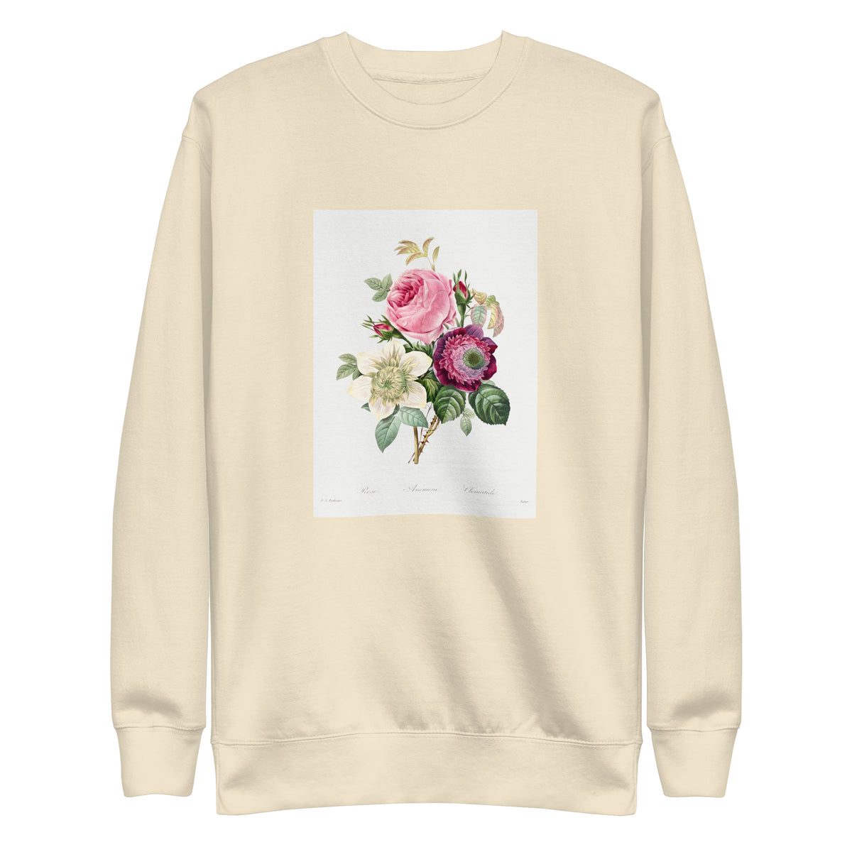 Sweater Anemone And Cabbage Rose - Pierre-Joseph Redoute 1759 Signature