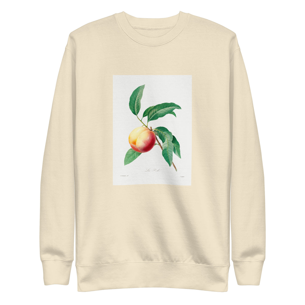 Sweater Peach Fruit On A Branch - Pierre-Joseph Redoute 1759 Signature