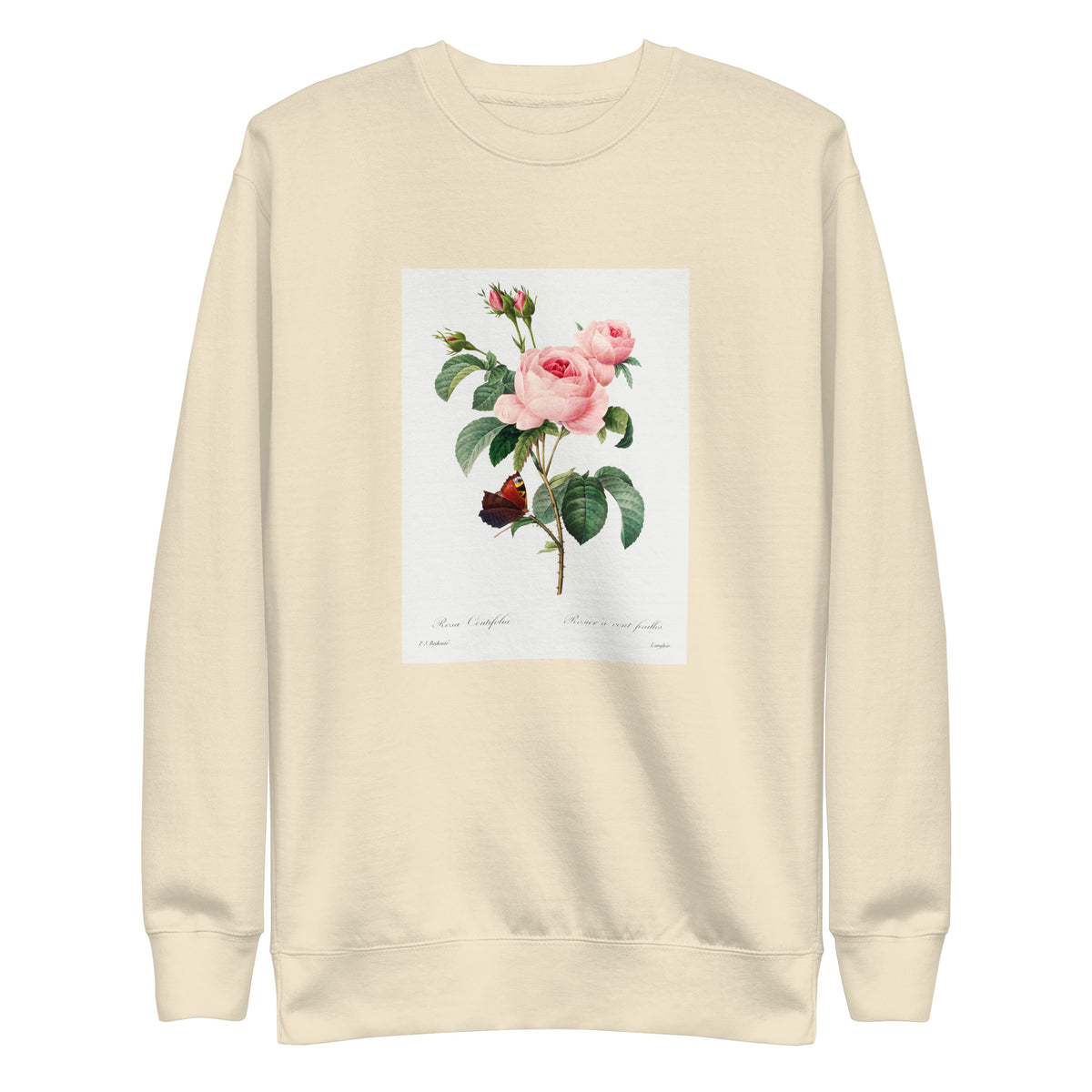 Sweater Cabbage Rose - Pierre-Joseph Redoute 1759 Signature