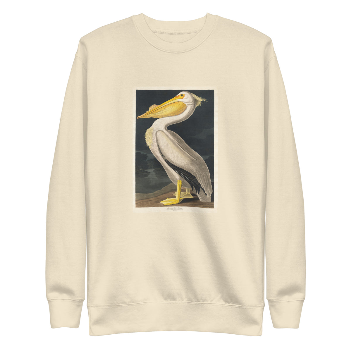 Sweater American White Pelican Signature
