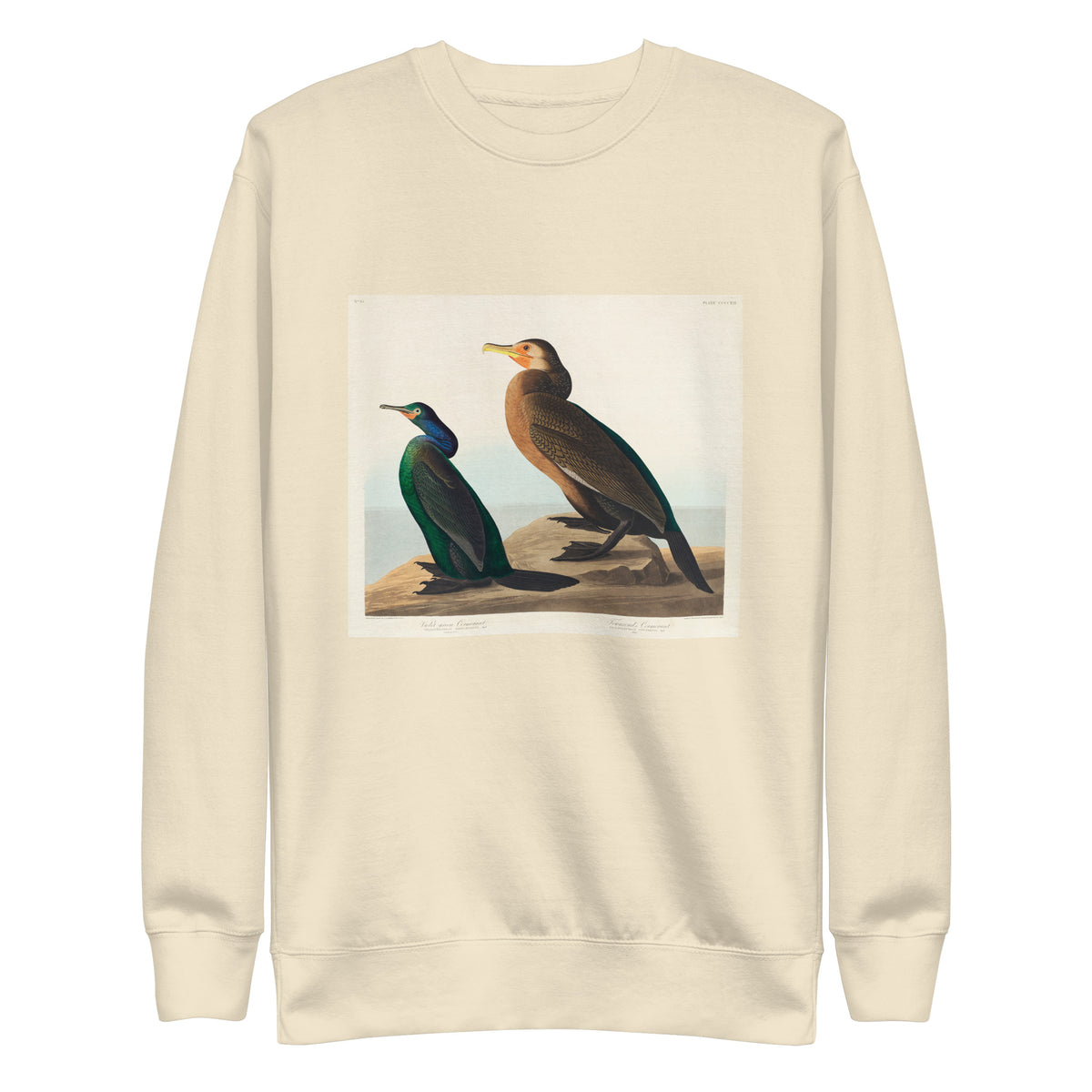 Sweater Violet-Green Cormorant And Townsend S Cormorant - John James Audubon 1827 Signature