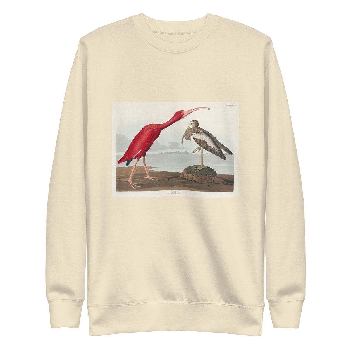 Sweater Scarlet Ibis - John James Audubon 1827 Signature