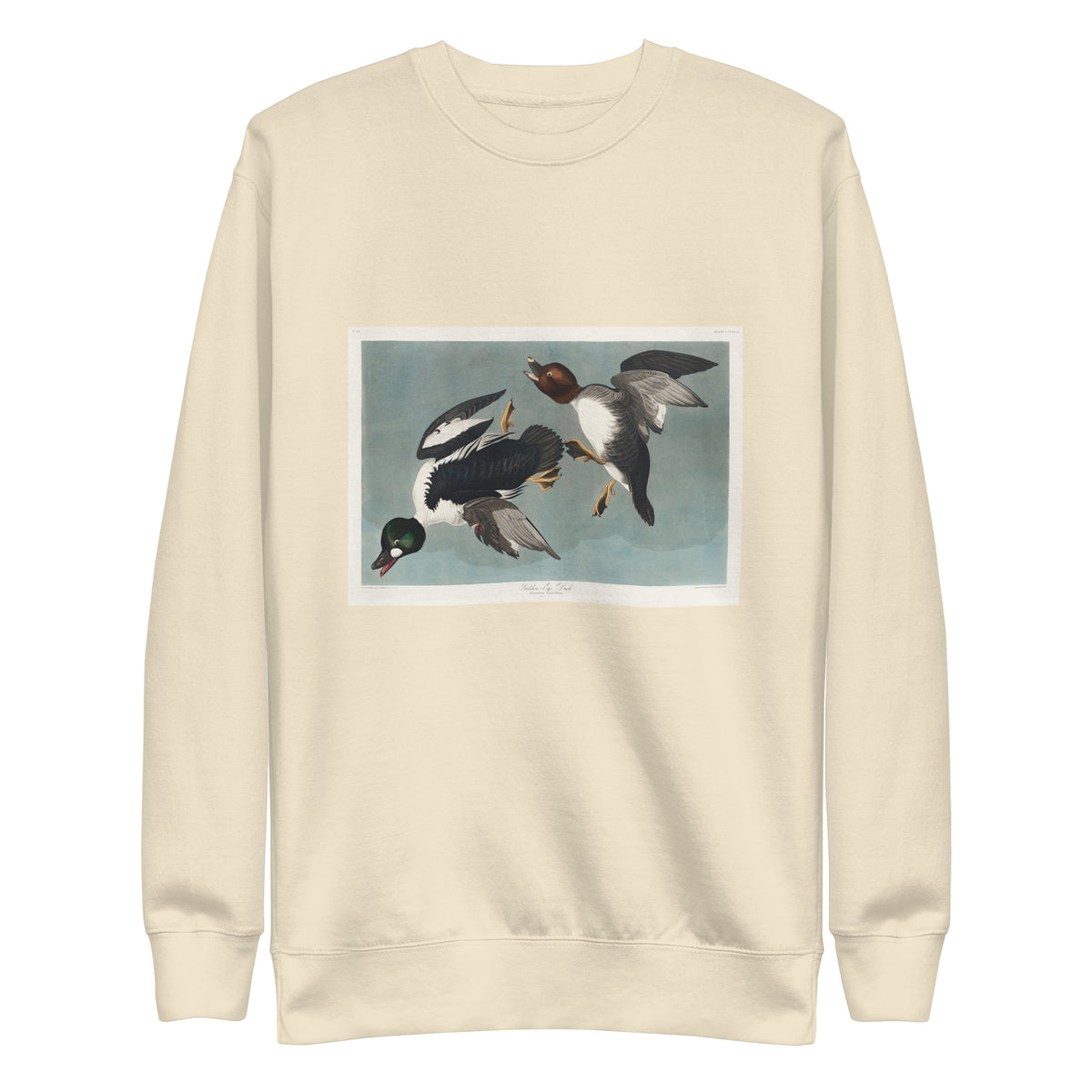 Sweater Golden-Eye Duck Signature