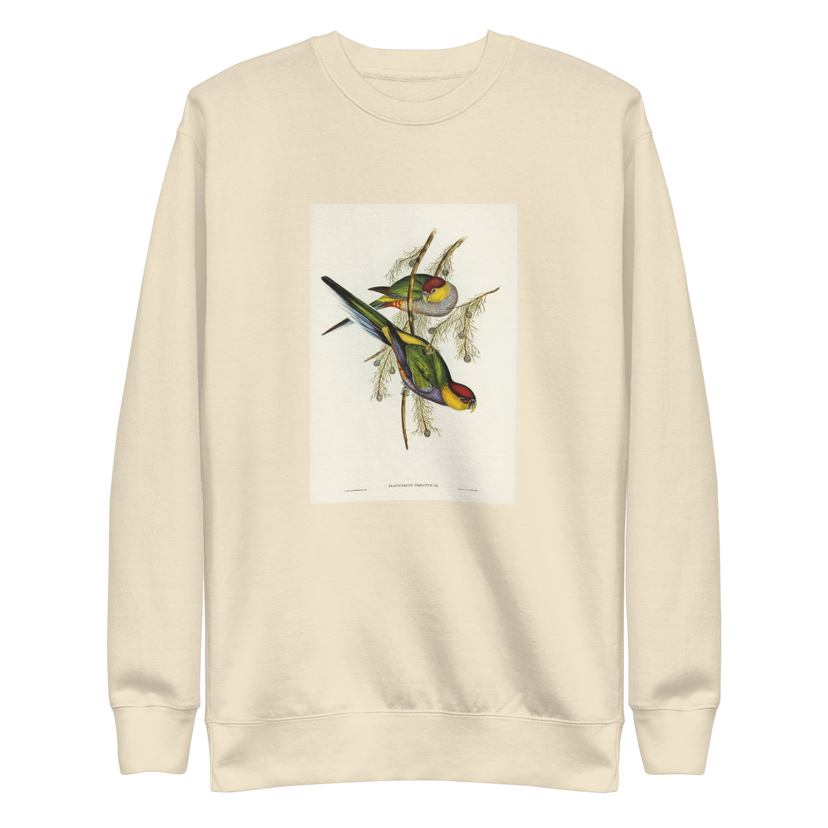 Sweater Red-Capped Parakeet Platycercus Pileatus Illustrated - Elizabeth Gould 1804 Signature