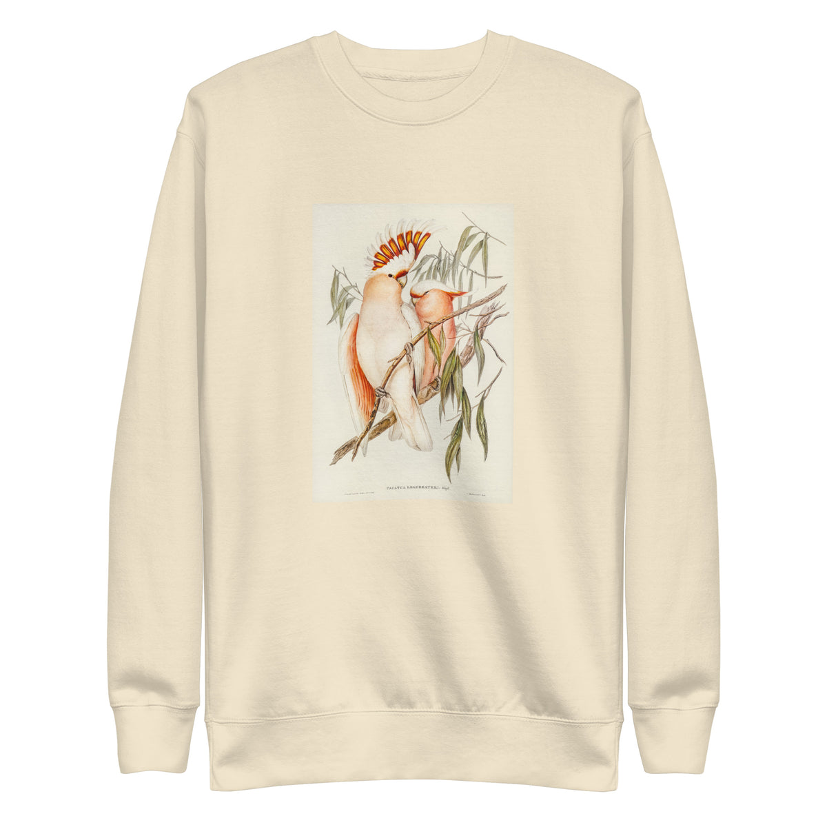 Sweater Leadbeater S Cockatoo Cacatua Leadbeaterii Illustrated - Elizabeth Gould 1804 Signature