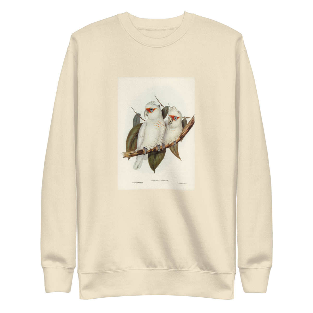 Sweater Long-Billed Cockatoo Licmetis Nasicus Illustrated - Elizabeth Gould 1804 Signature