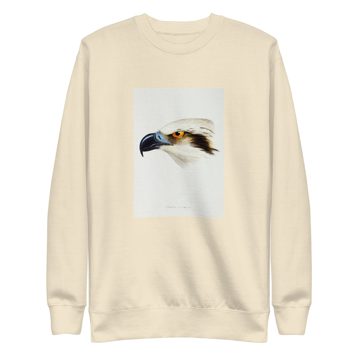 Sweater White-Headed Osprey Pandion Leucocephalus Illustrated Signature