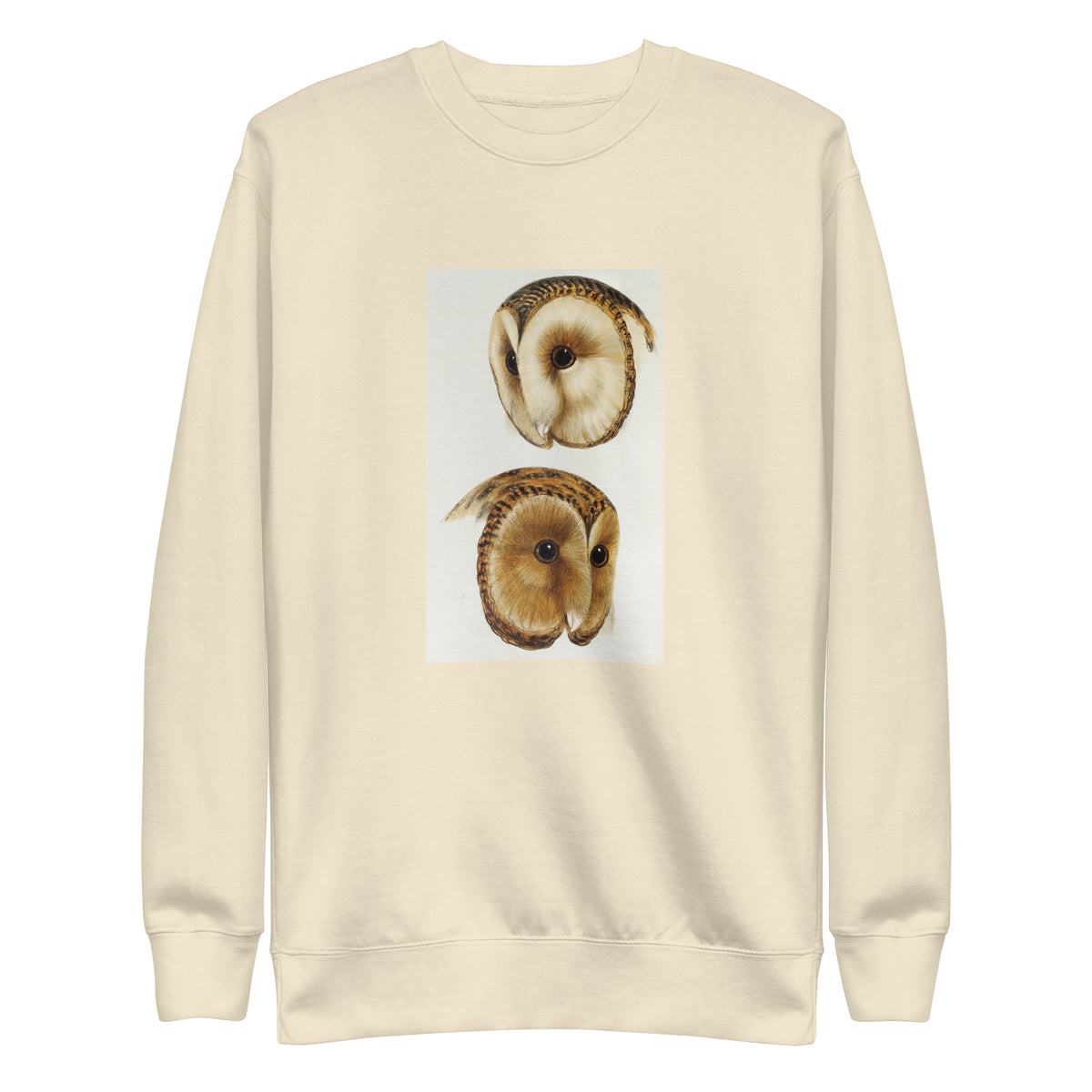 Sweater 1 Masked Barn Owl Strix Personata 2 Tasmanian Masked Owl Strix Castanops Illustrated Signature