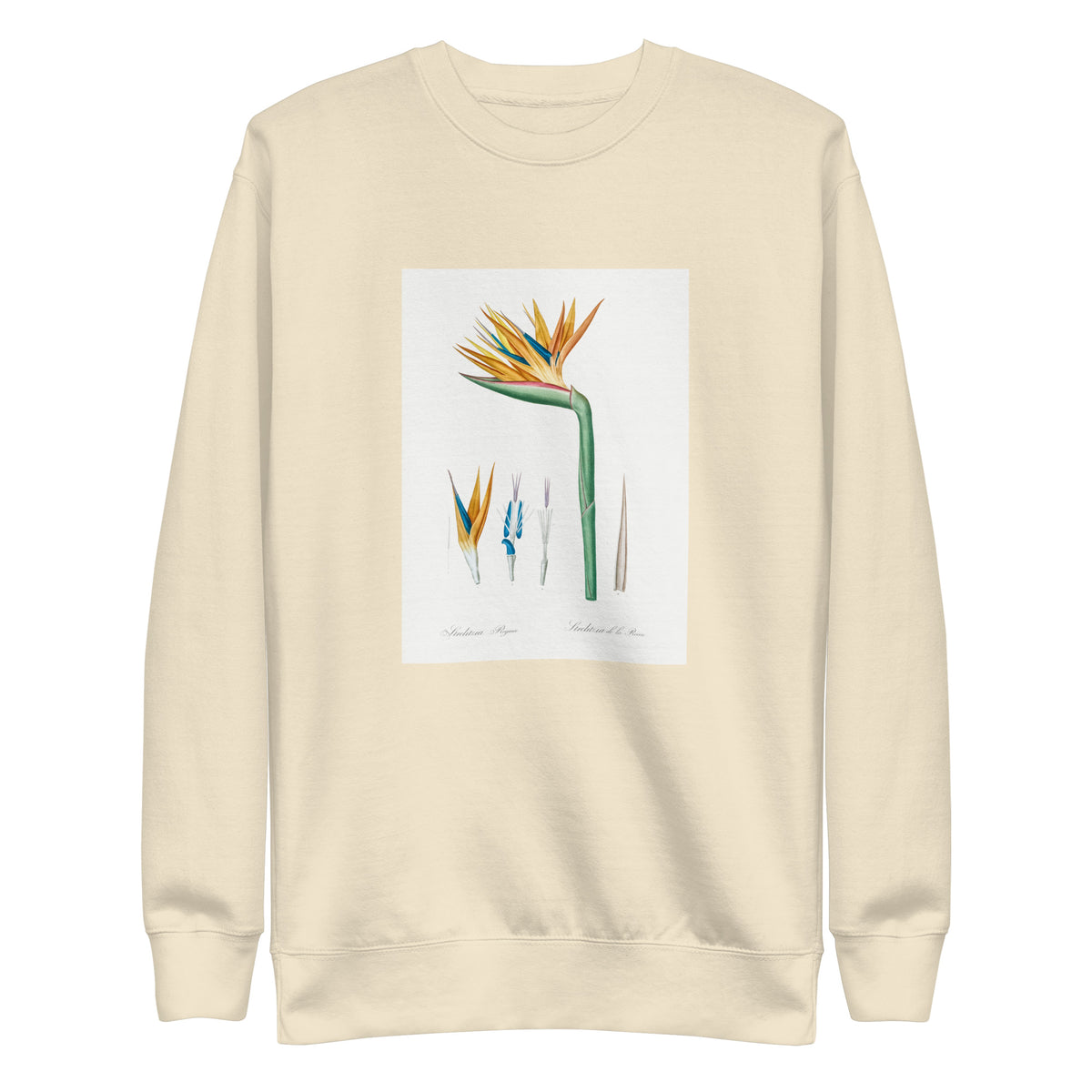 Sweater Bird Of Paradise Illustration Signature