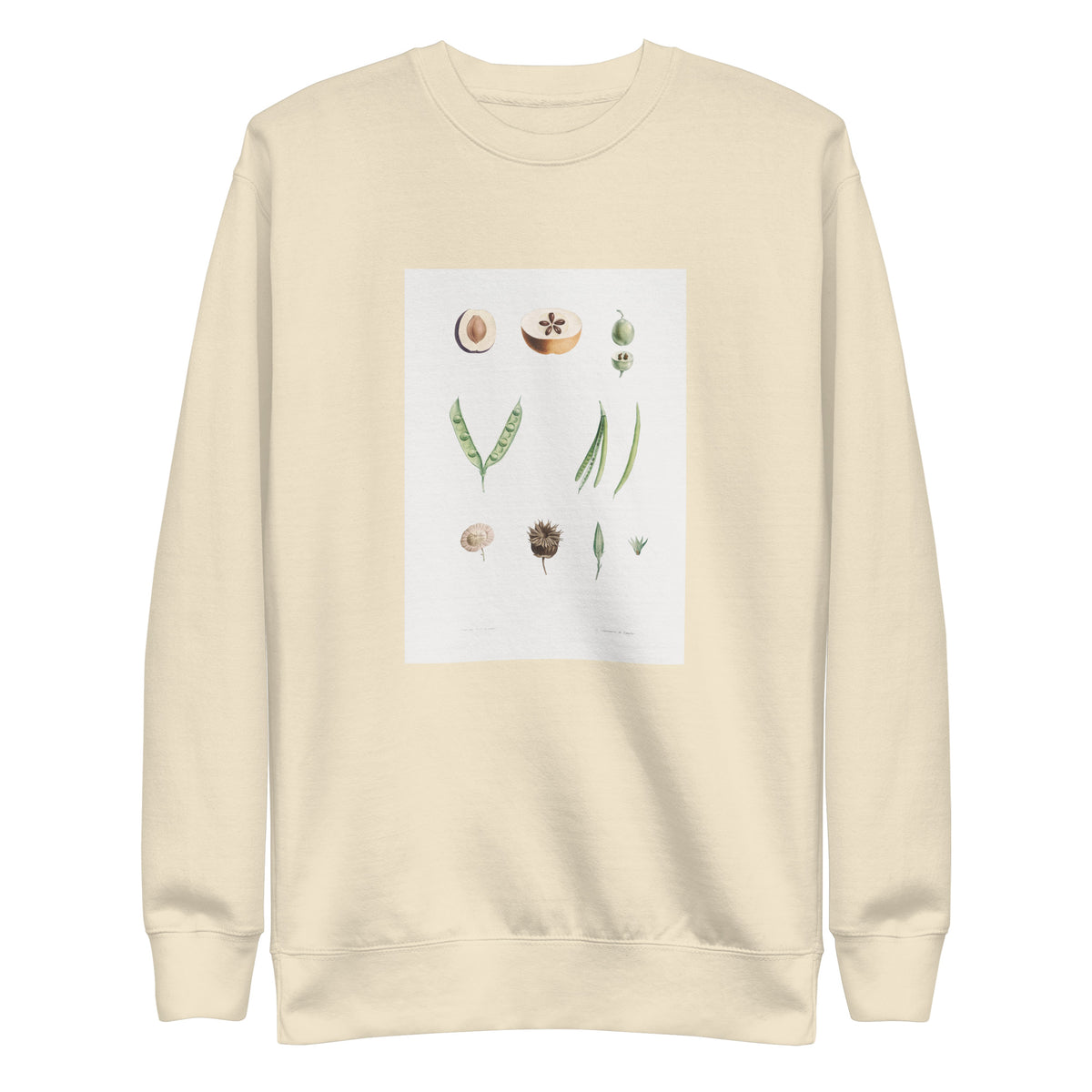 Sweater Plants Part - Pierre-Joseph Redoute 1759 Signature