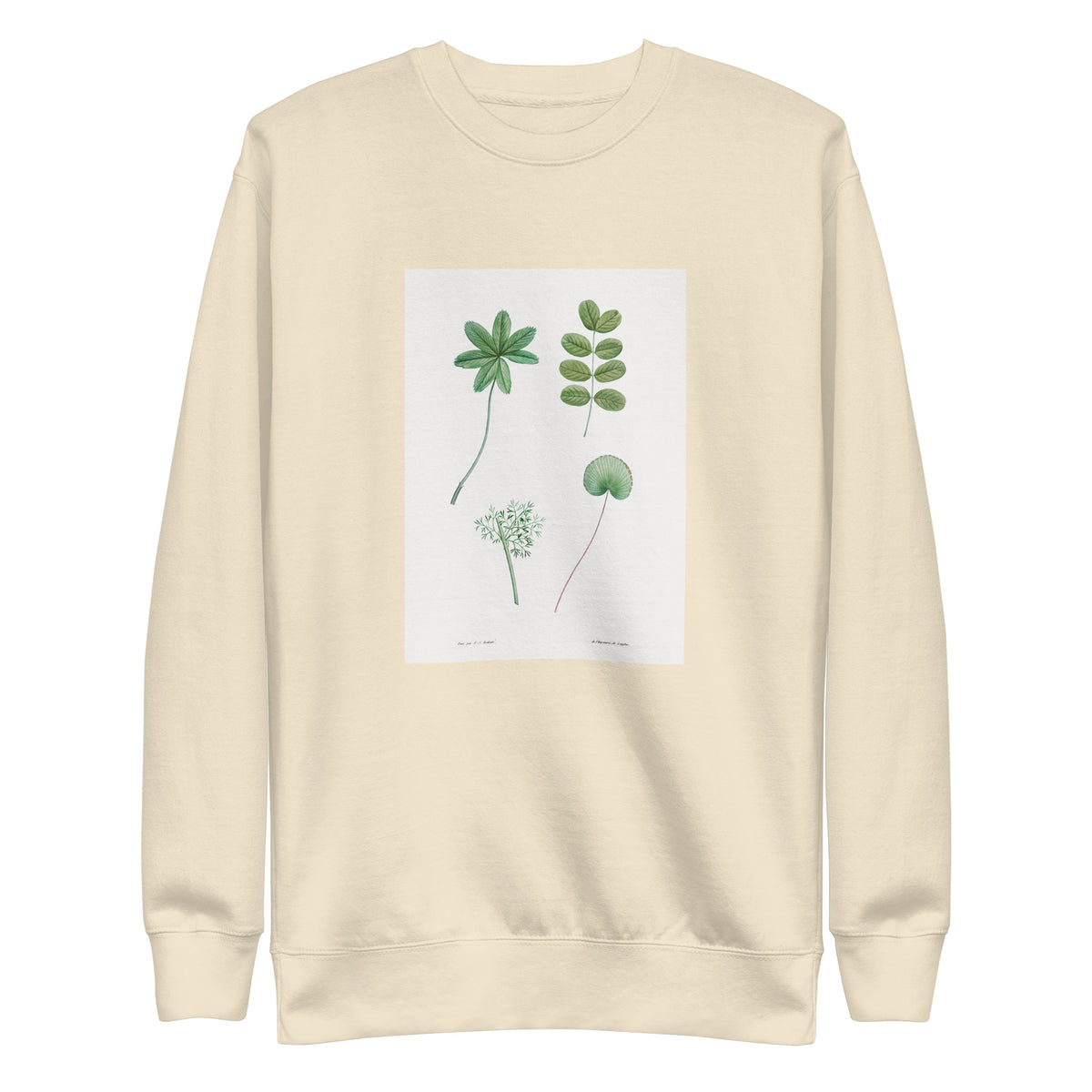 Sweater Tree Leaf Set - Pierre-Joseph Redoute 1759 Signature