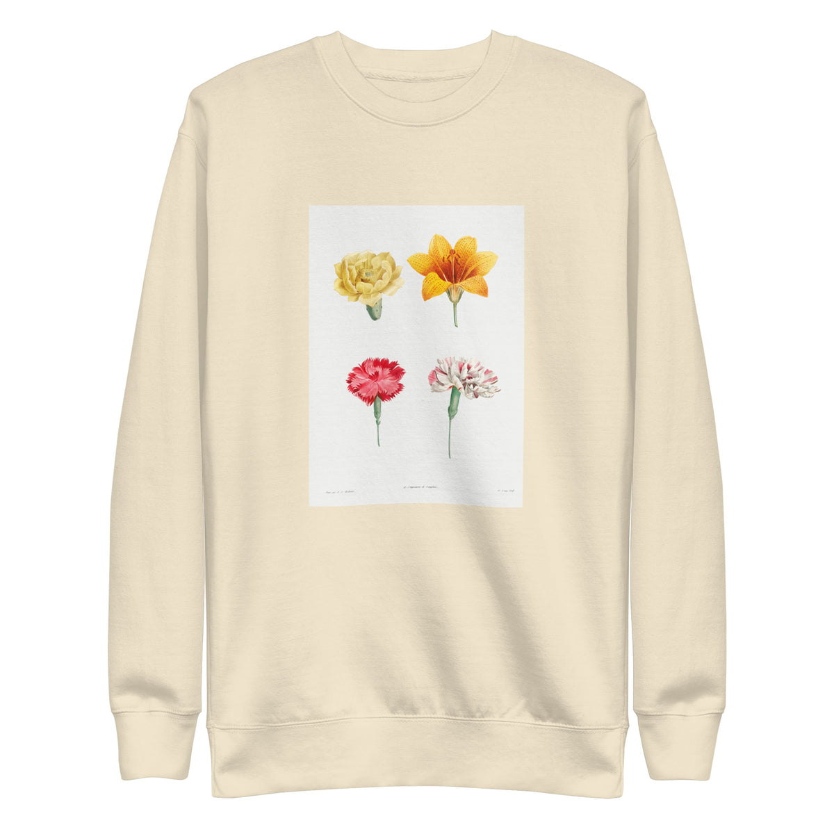 Sweater Flower Set - Pierre-Joseph Redoute 1759 Signature