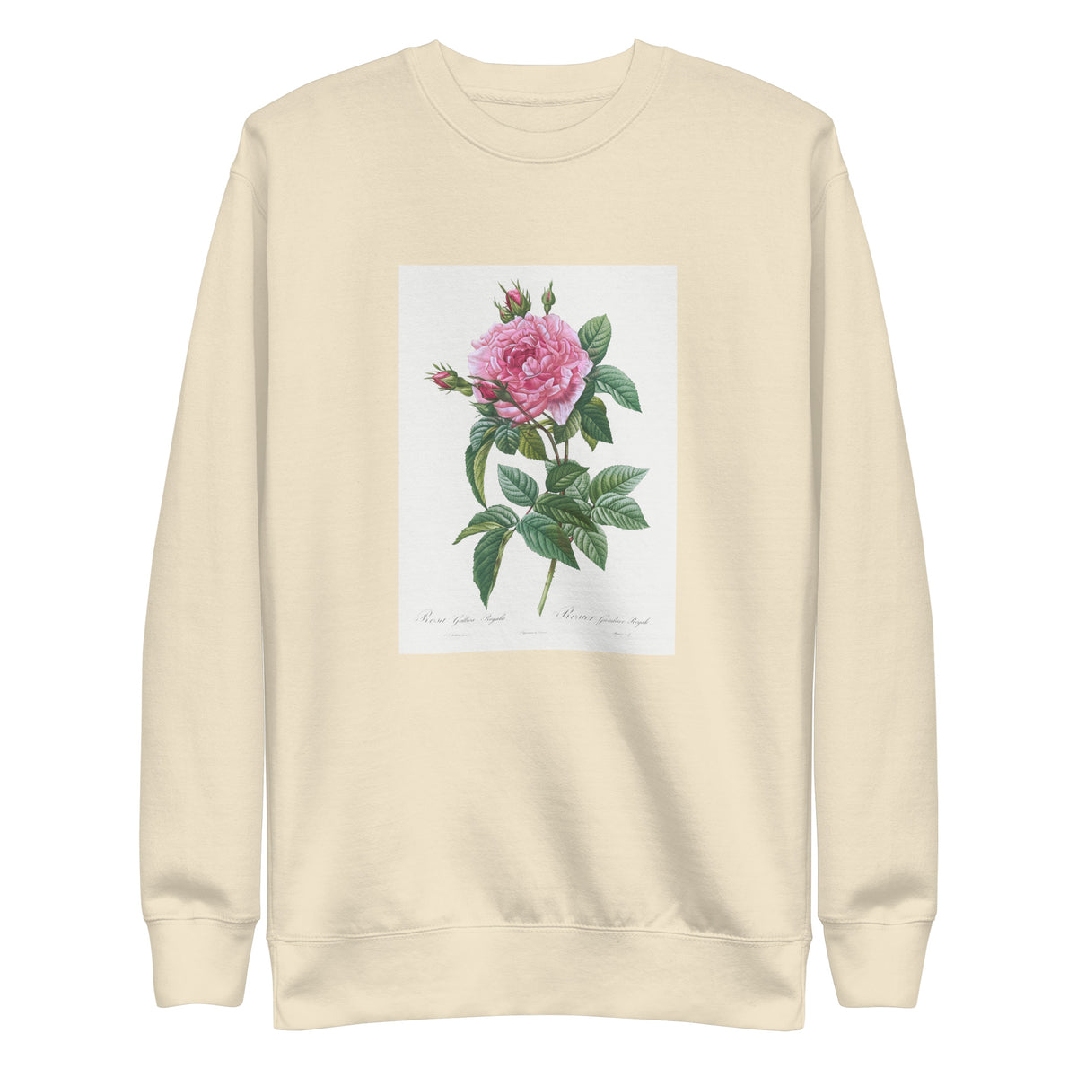 Sweater Gallic Rose Rosa Gallica Regalis Signature