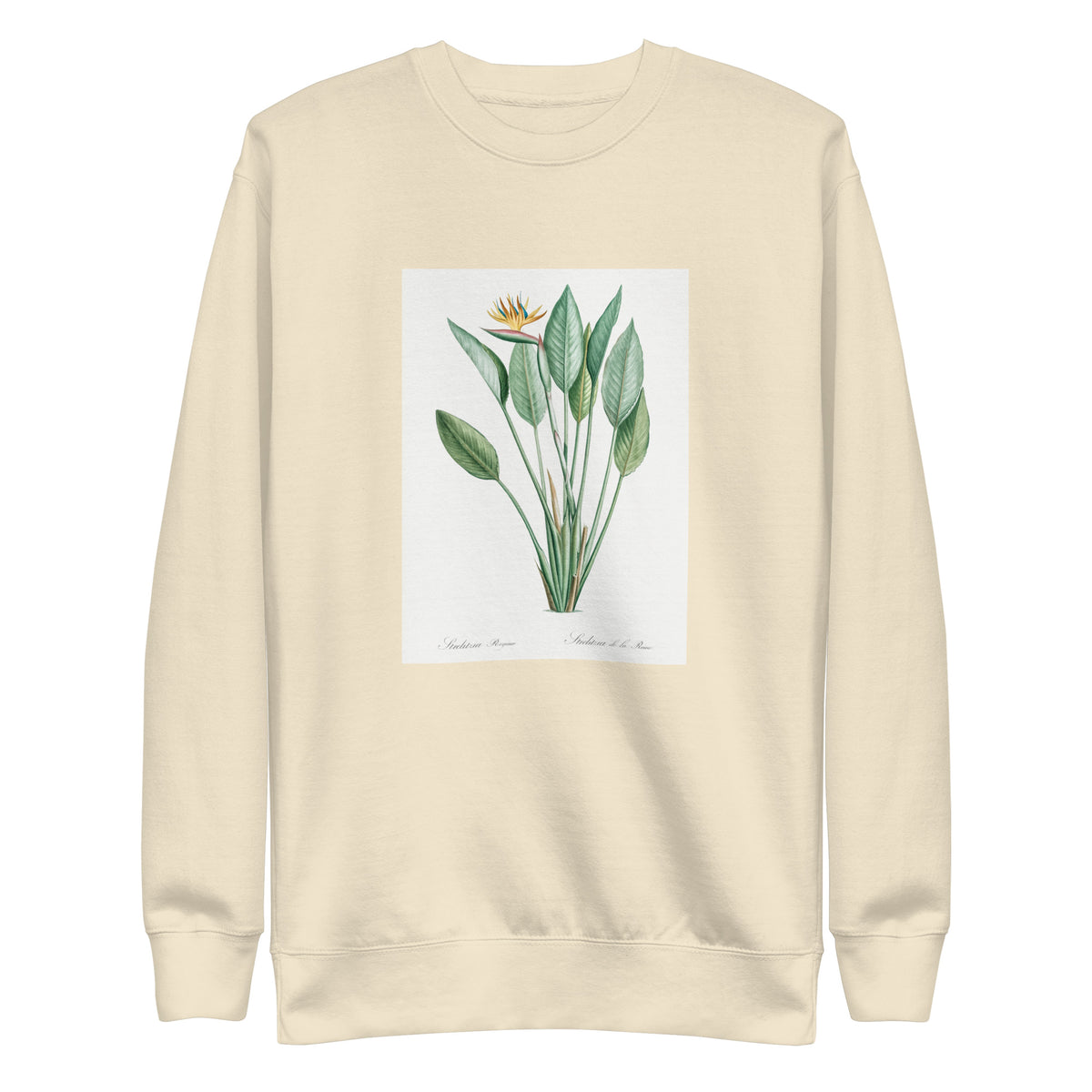 Sweater Bird Of Paradise Illustration II Signature