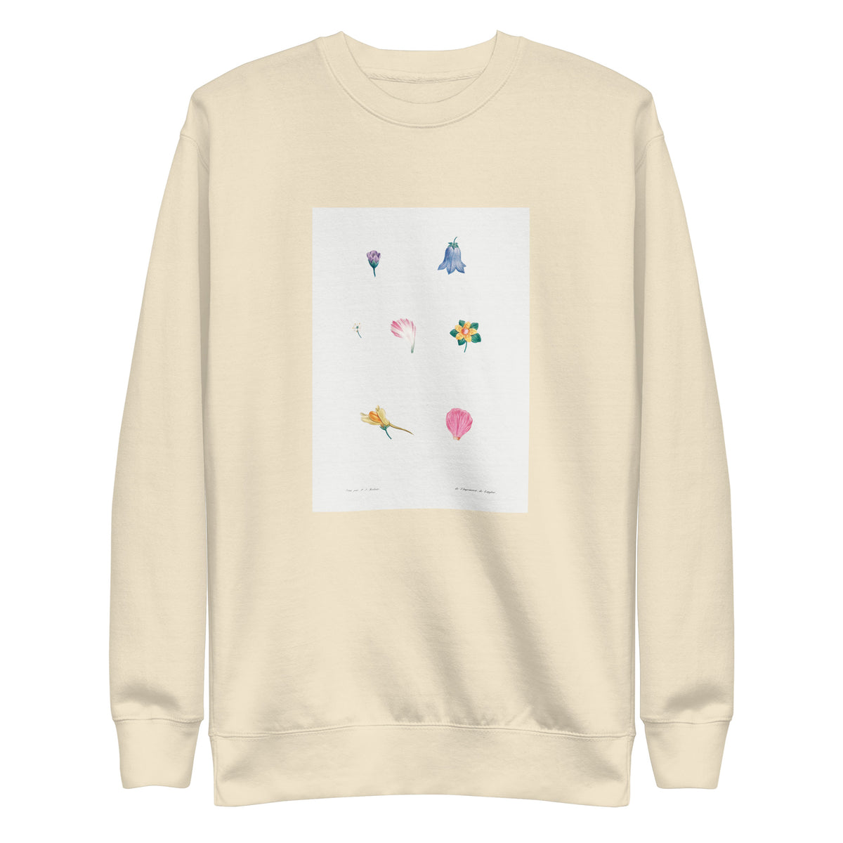 Sweater Flower Set Redoute 1759 II Signature