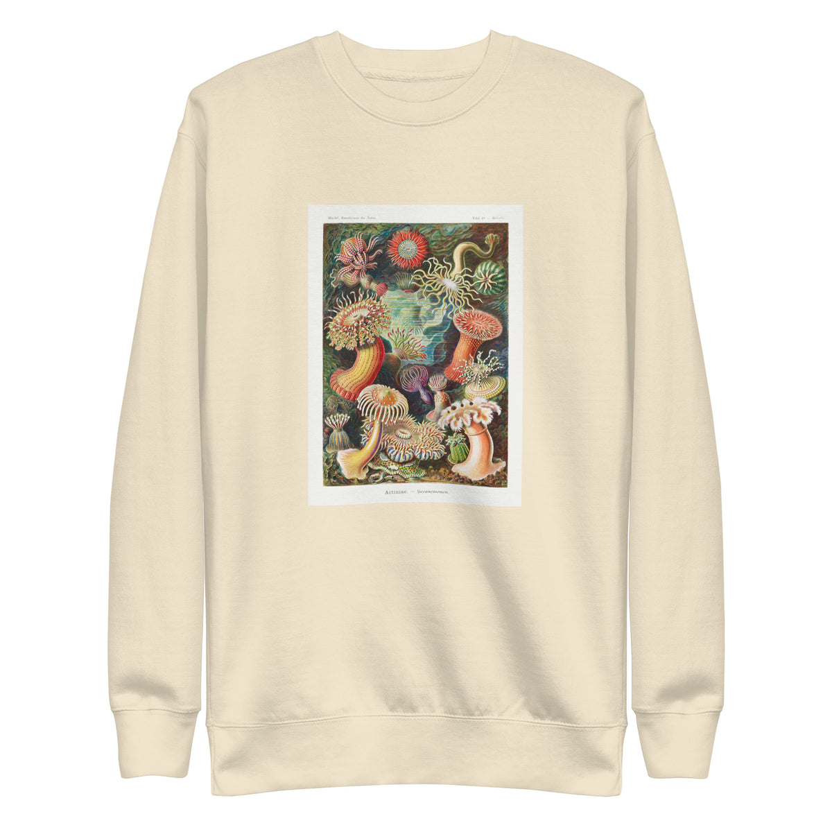 Sweater Actiniae Seeanemonen Signature