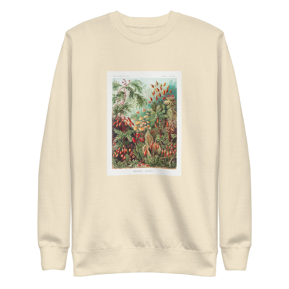 Sweater Muscinae Laubmoose A Giltsch Gem Signature