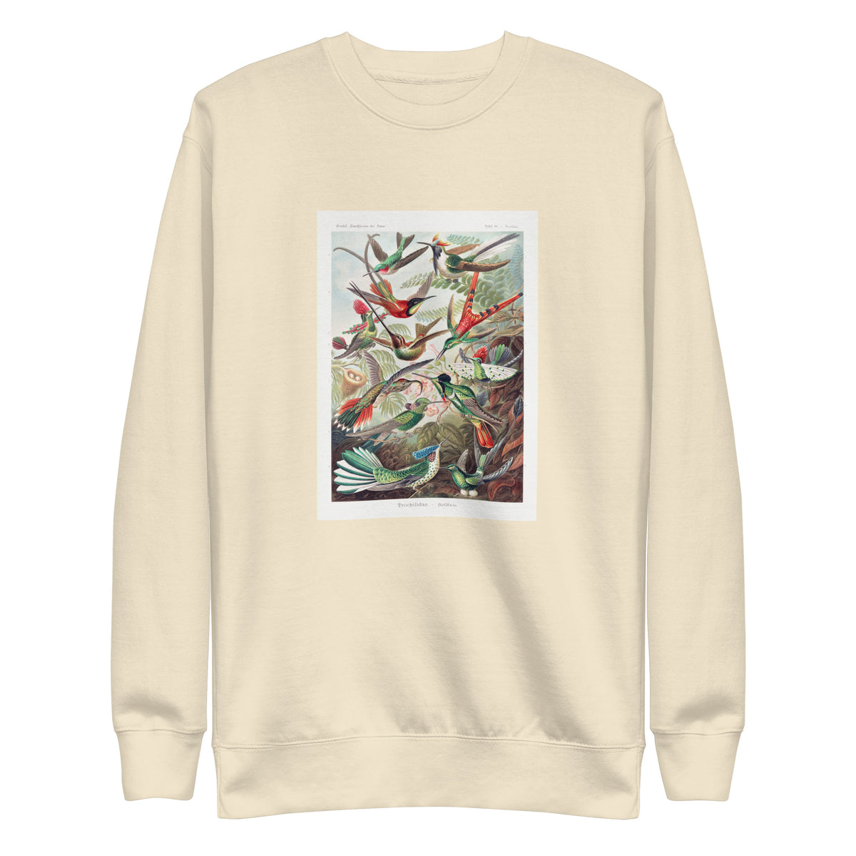 Sweater Trochilidae Kolibris Signature