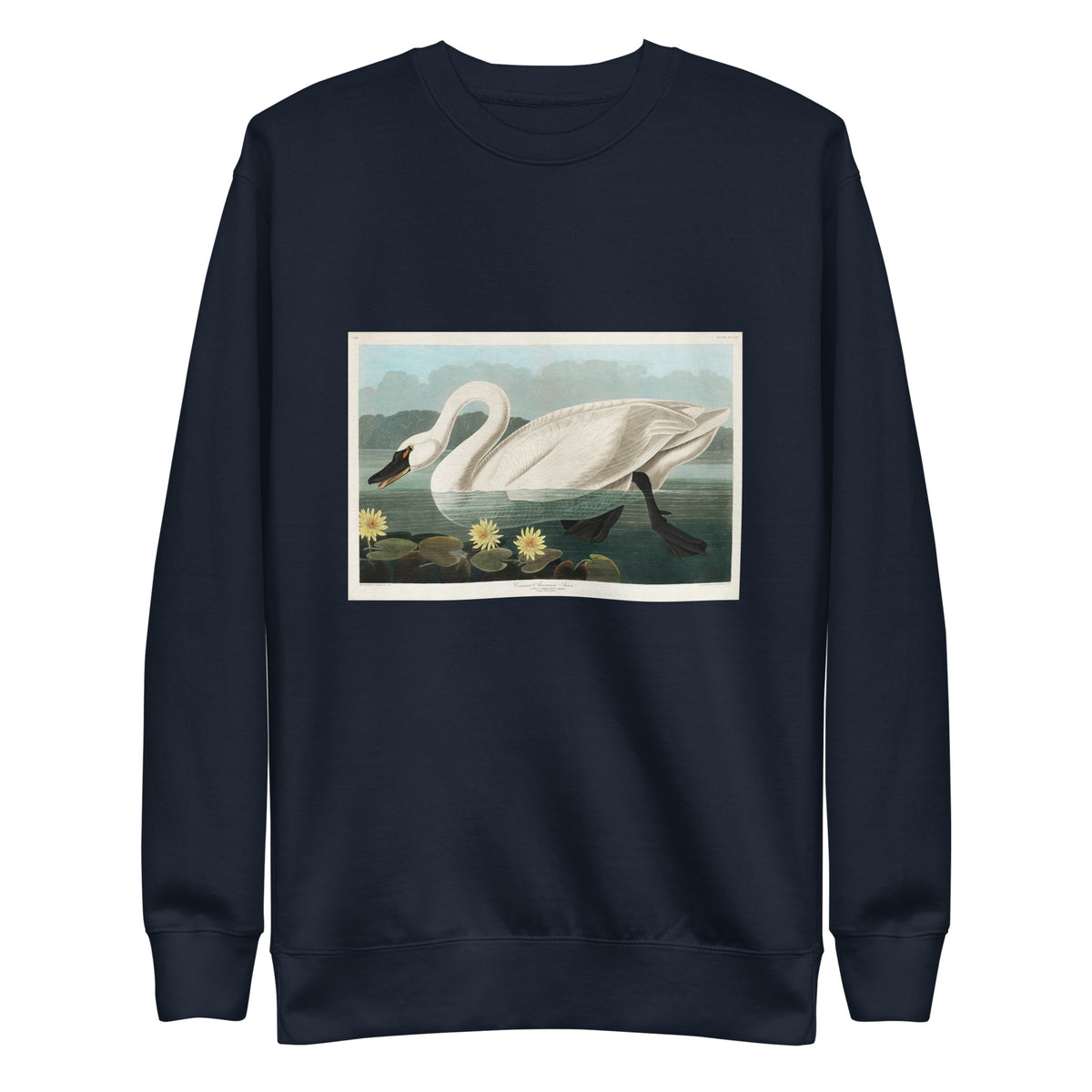 Navy Sweater Common American Swan - John James Audubon 1827 Signature