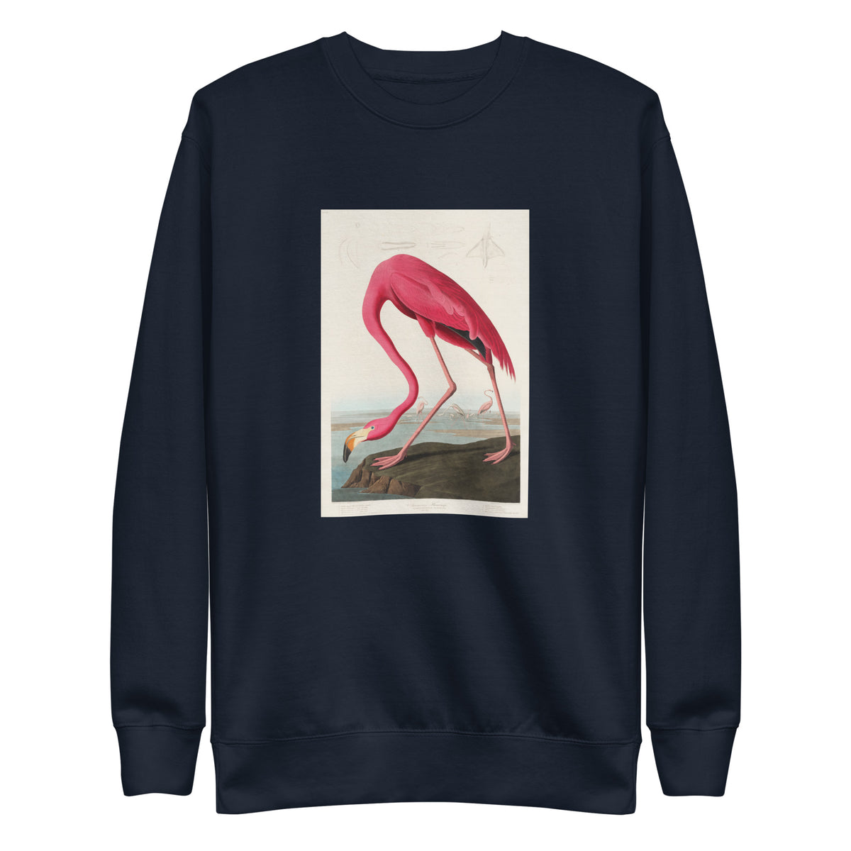 Navy Sweater Pink Flamingo - John James Audubon 1827 Signature