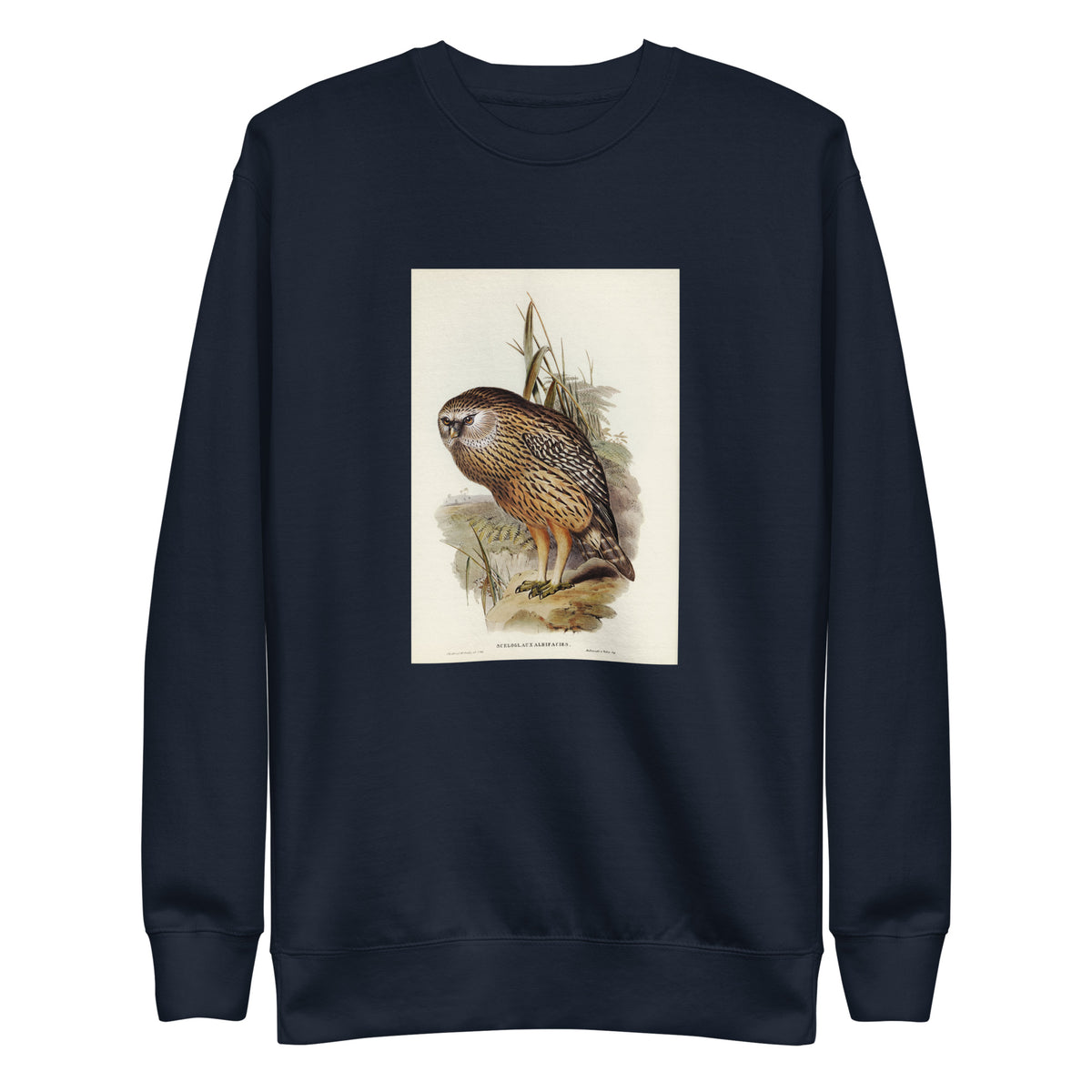 Navy Sweater Wekau Sceloglaux Albifacies Illustrated - Elizabeth Gould 1804 Signature