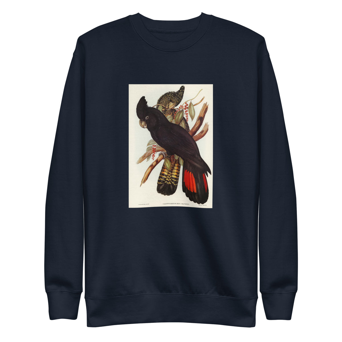 Navy Sweater Banksian Cockatoo Calyptorhynchus Banksii Illustrated - Elizabeth Gould 1804 Signature