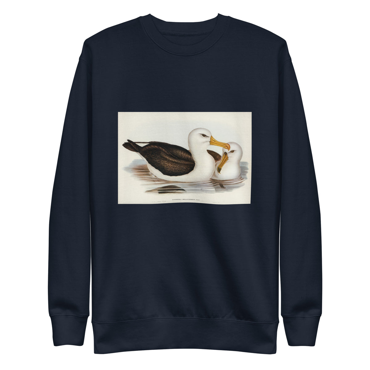 Navy Sweater Black-Eyebrowed Albatros Diomedea Melanophrys Illustrated - Elizabeth Gould 1804 Signature