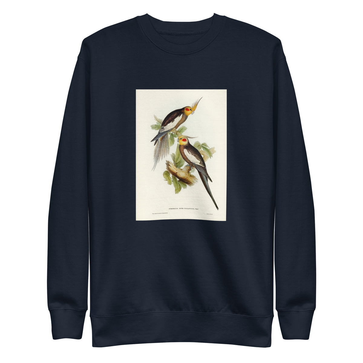 Navy Sweater Cockatoo Parakeet Nymphicus Novae Hollandiae Illustrated - Elizabeth Gould 1804 Signature
