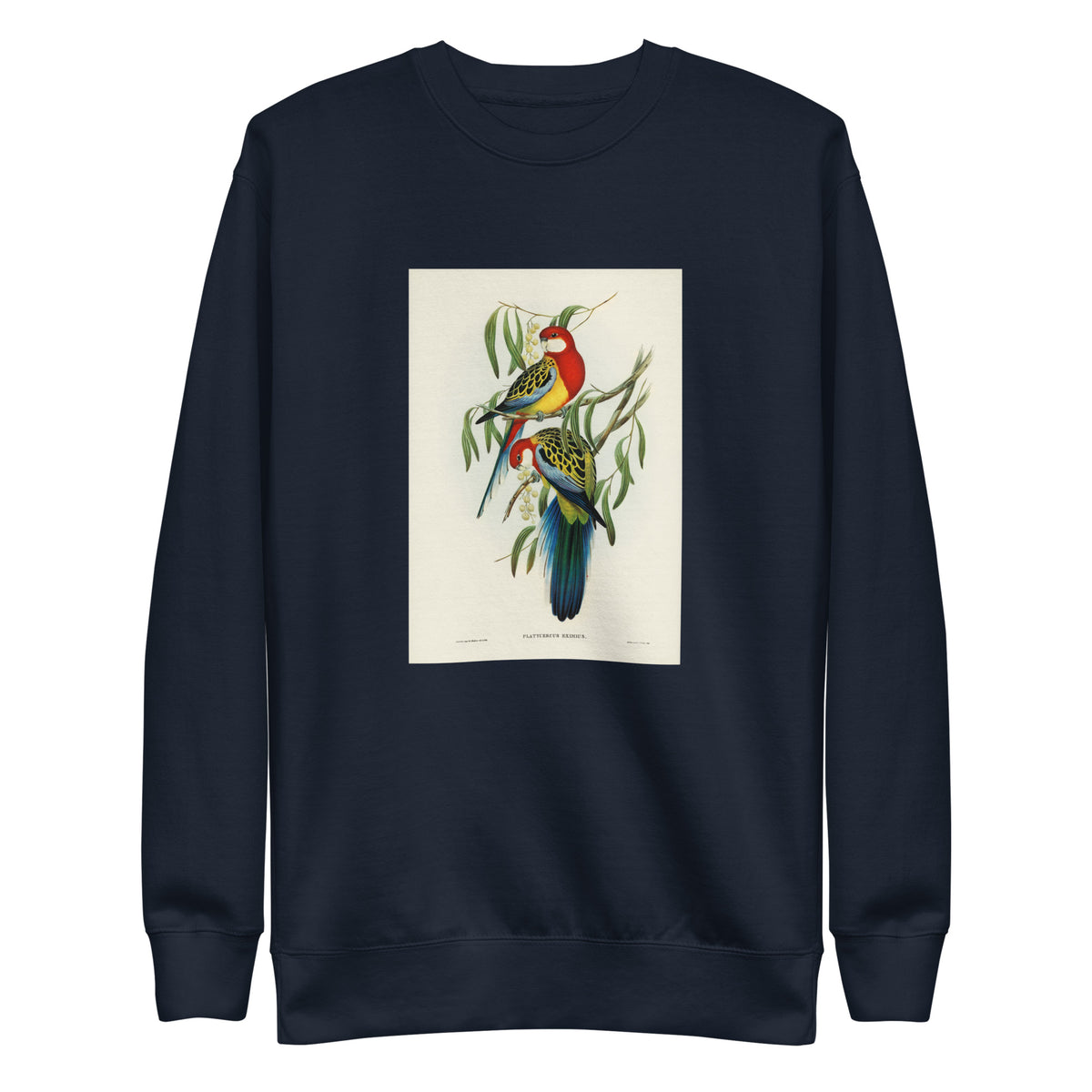 Navy Sweater Rose-Hill Parakeet Platycercus Eximius Illustrated - Elizabeth Gould 1804 Signature
