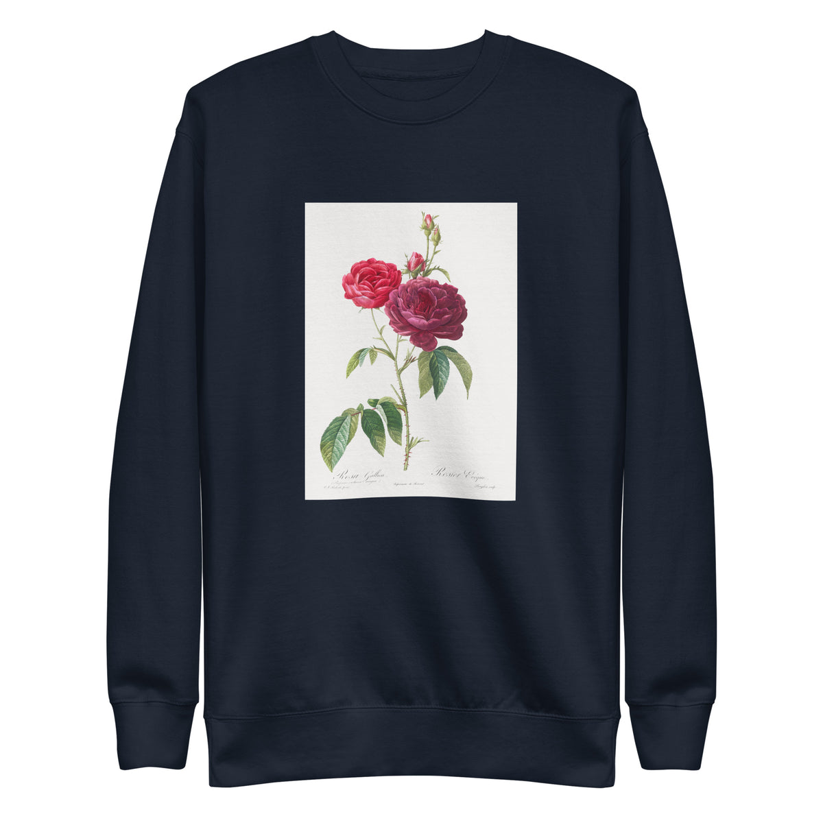 Navy Sweater Purple French Rose Rosa Gallica Purpuro-Violacea Magna Signature