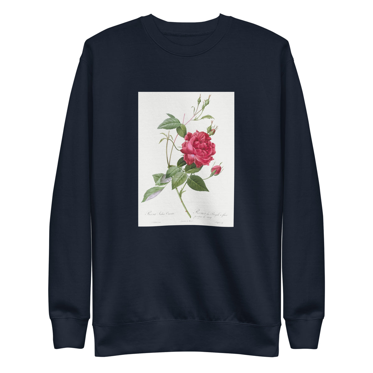 Navy Sweater Blood-Red Bengal Rose Rosa Indica Cruneta Signature