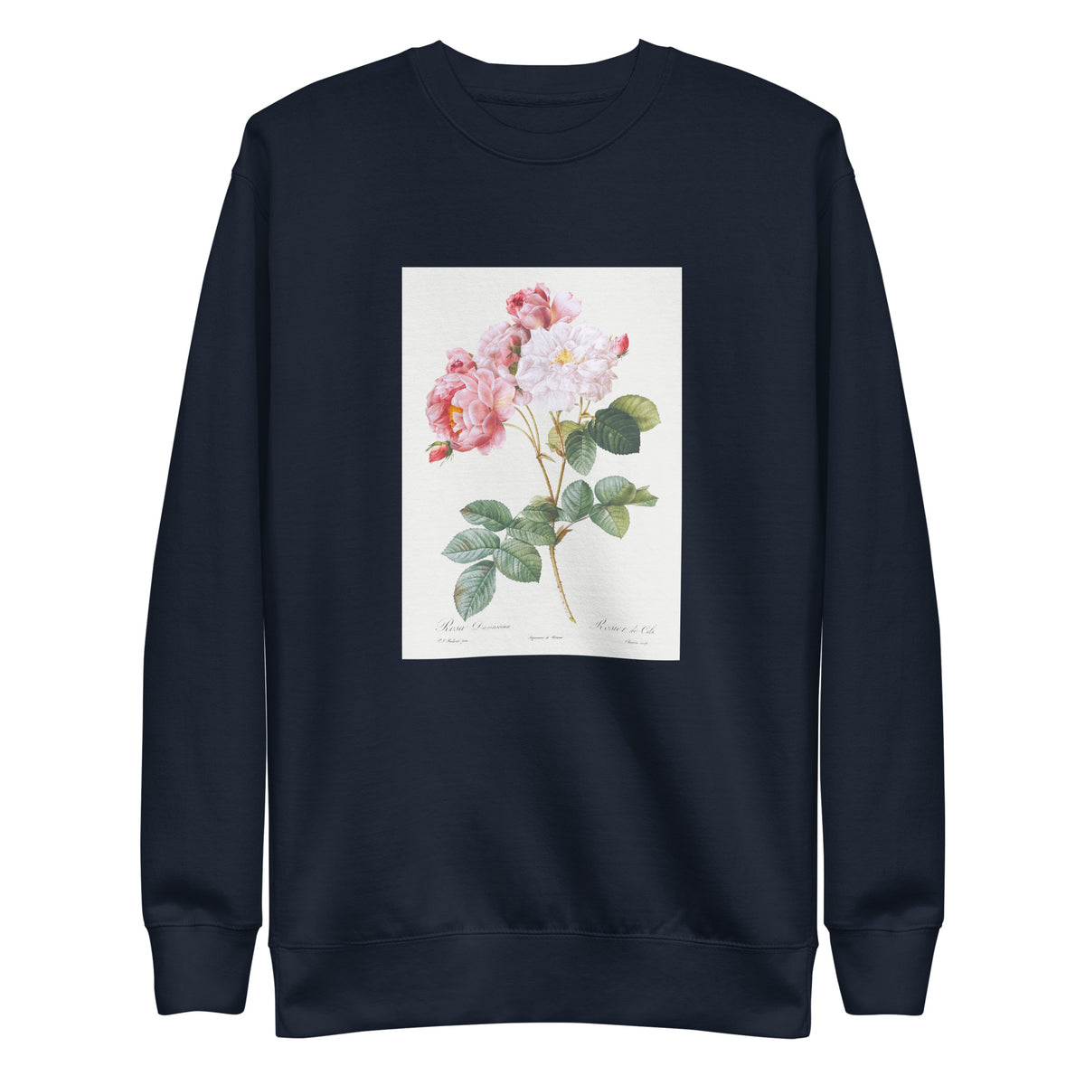 Navy Sweater Rosa Damascena Rosebush Rosa Damascena Signature