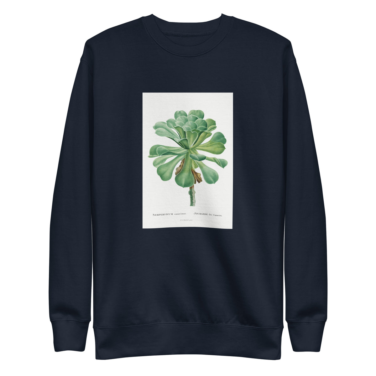 Navy Sweater Sempervivum Canariense Image Signature