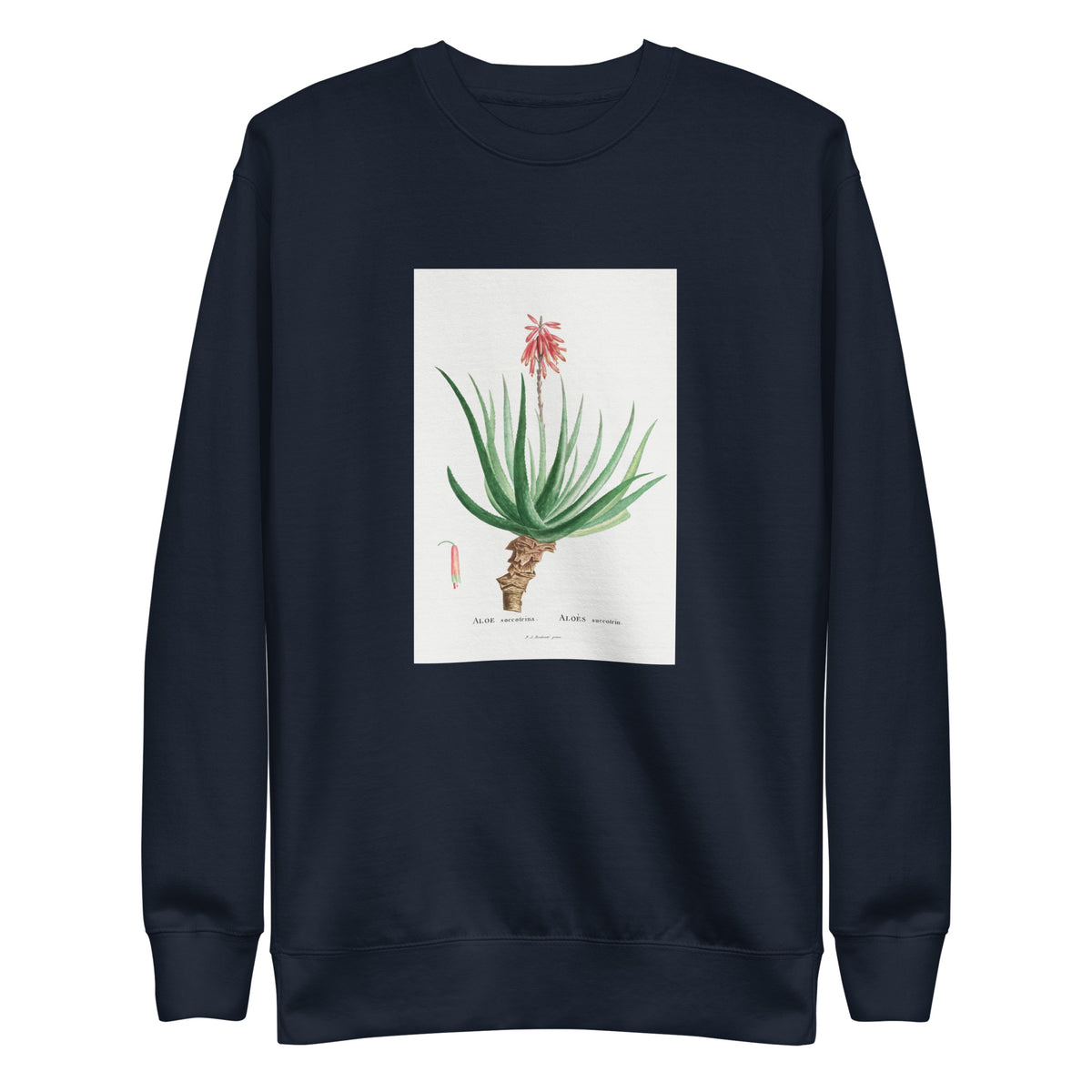 Navy Sweater Aloe Socotrina Image Signature