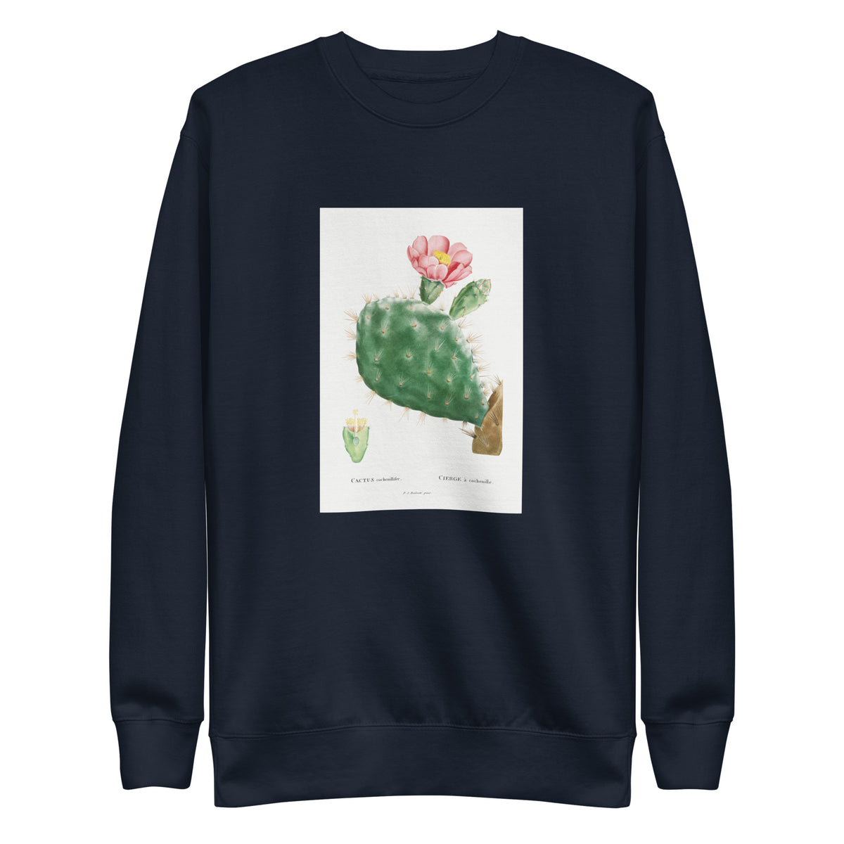Navy Sweater Cactus Cochenillifer Image Signature